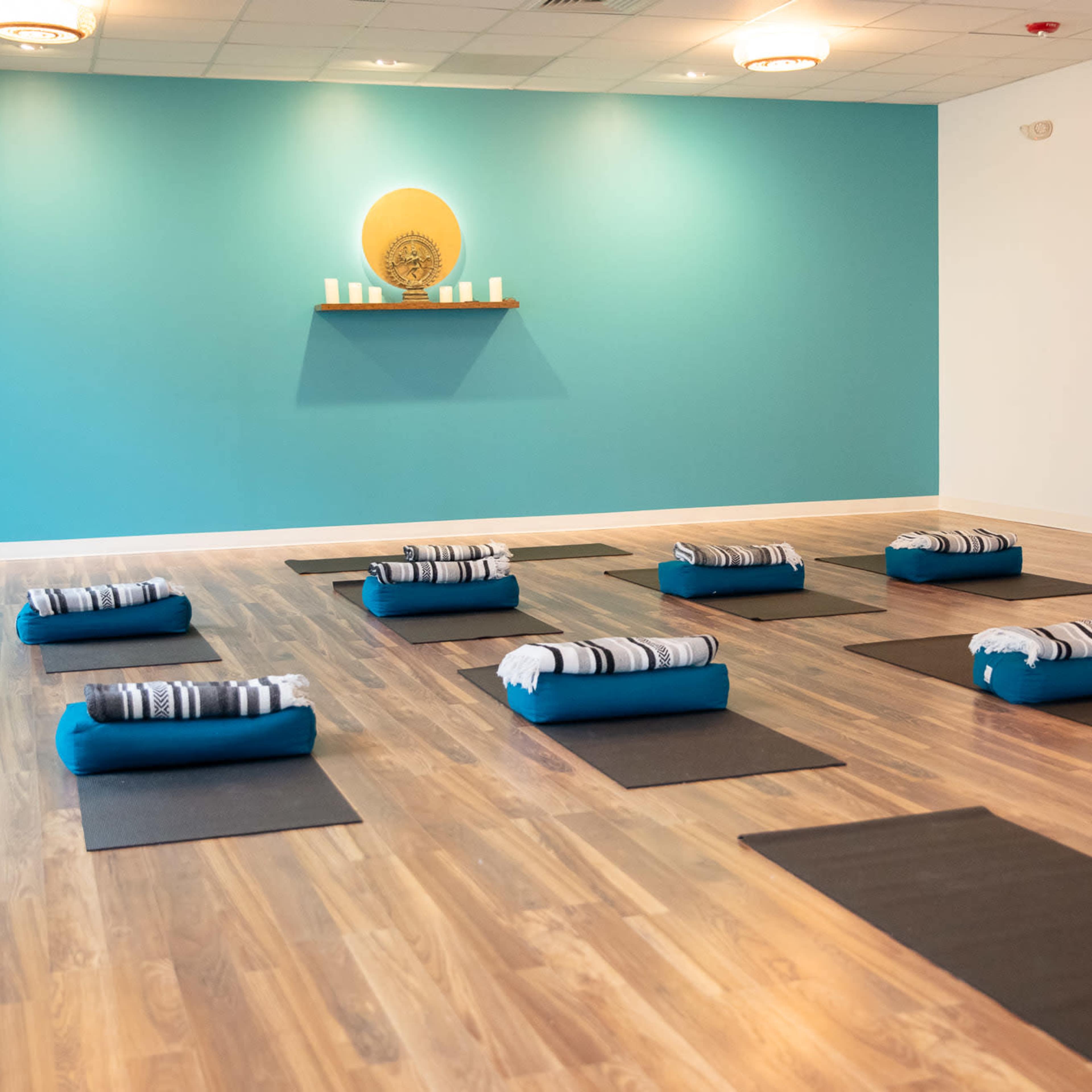 Large Peaceful Yoga Studio Image in Eastchester, Tuckahoe, NY