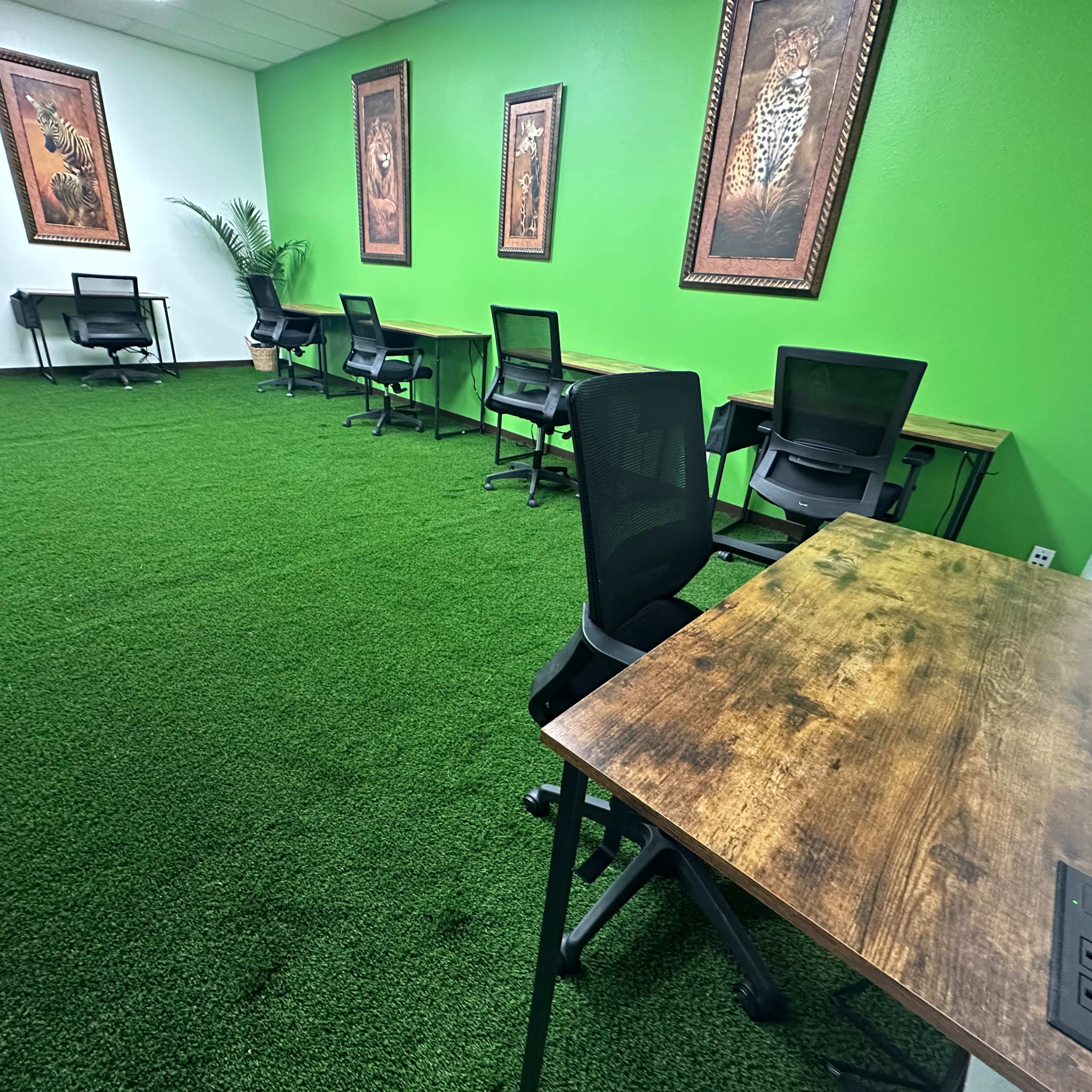 An office space features green artificial turf flooring, several desks with chairs, and framed artwork on the walls.