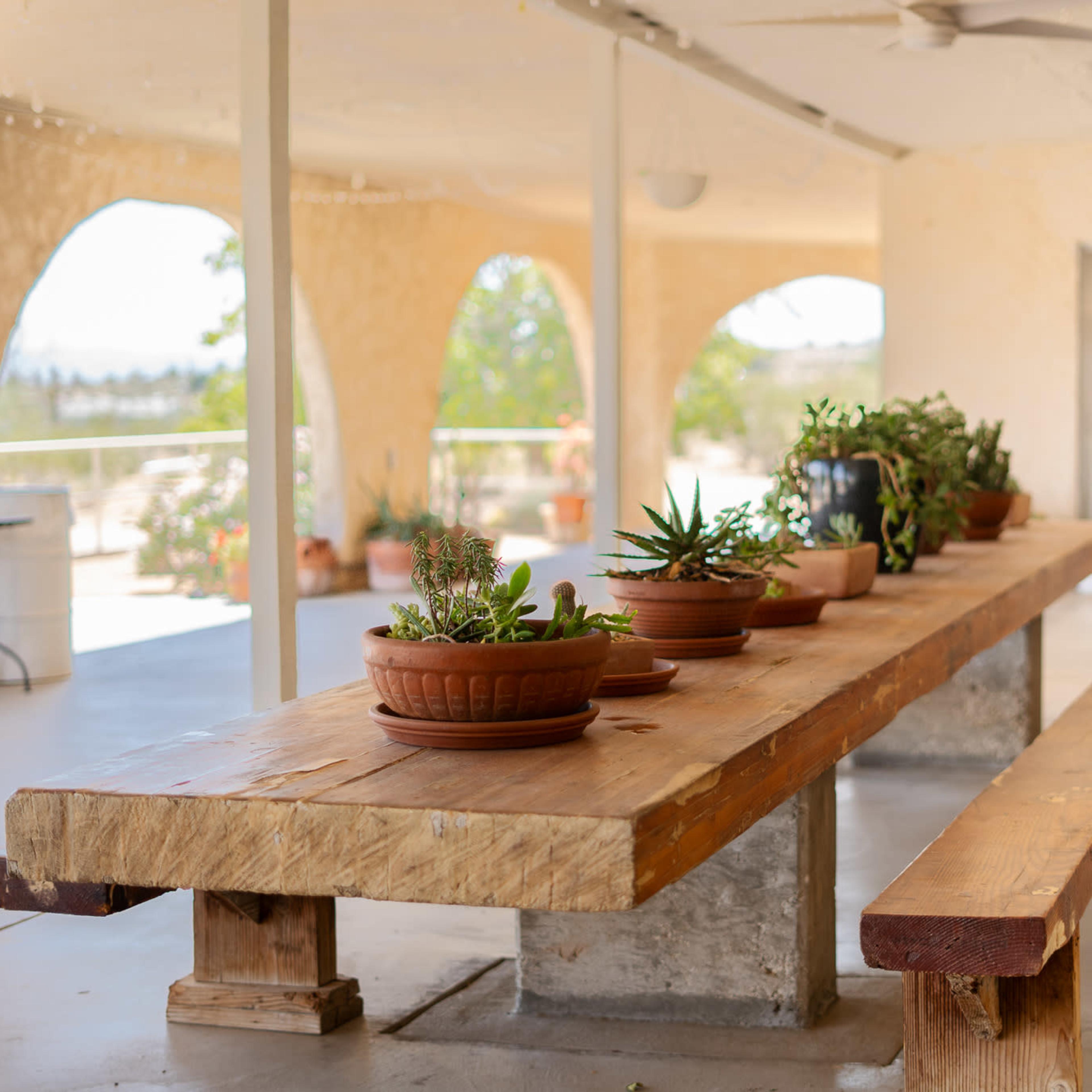 A wooden table with benches is set up on a patio, surrounded by potted plants and arched openings in the walls.
