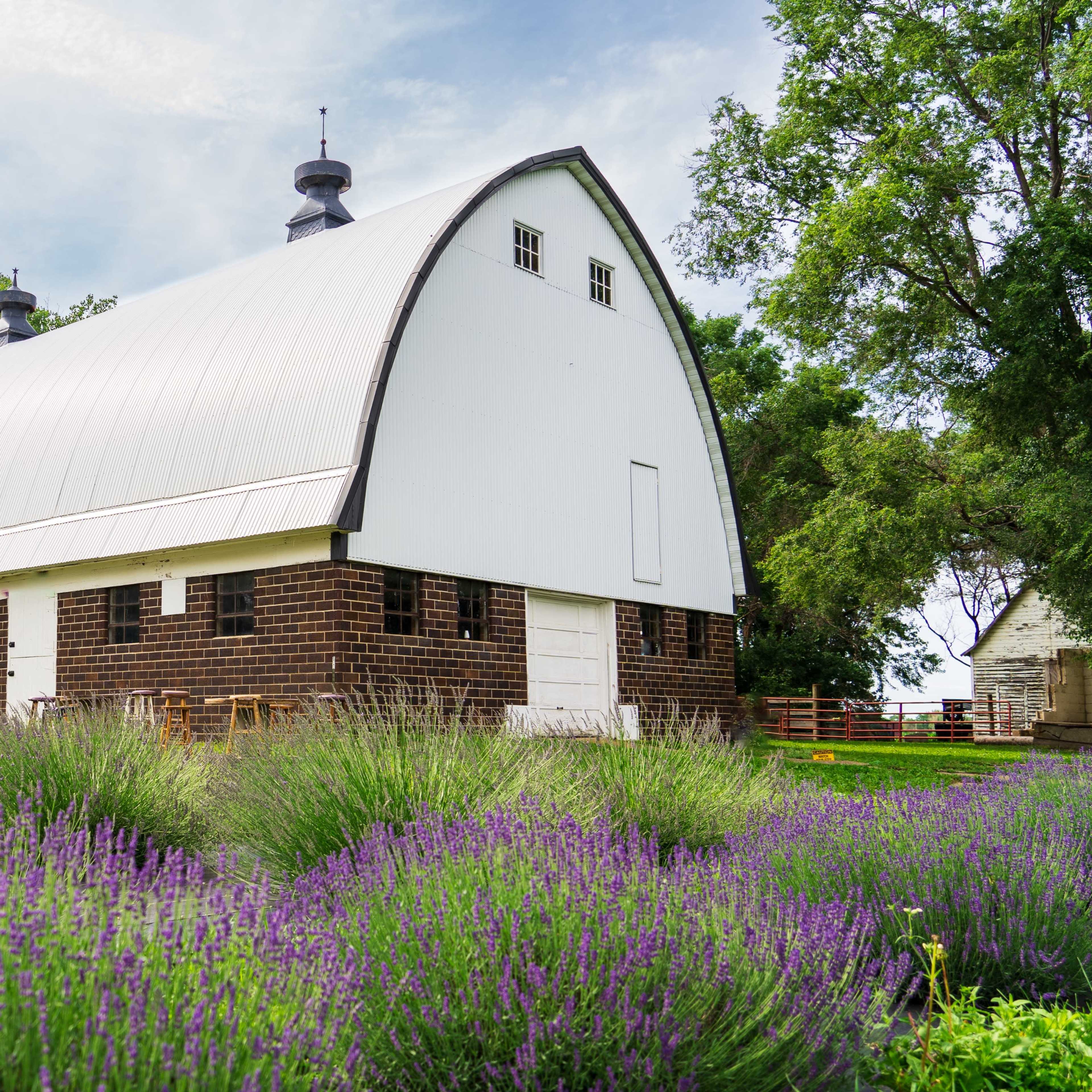 Historic Lavender Farm Image in Eureka Township, Farmington, MN
