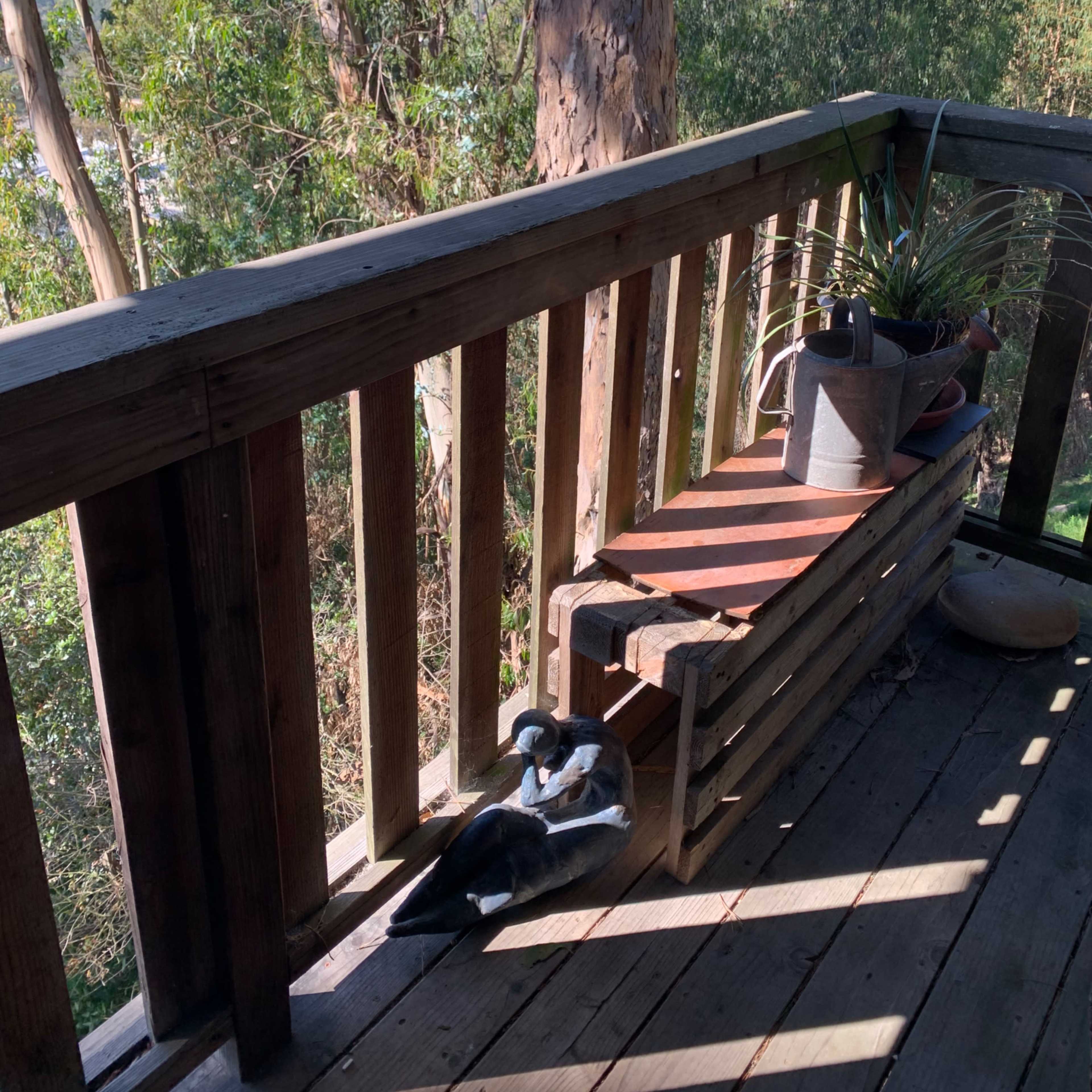 A wooden deck overlooks a grove of eucalyptus trees, with a planter and a decorative object resting on a bench.
