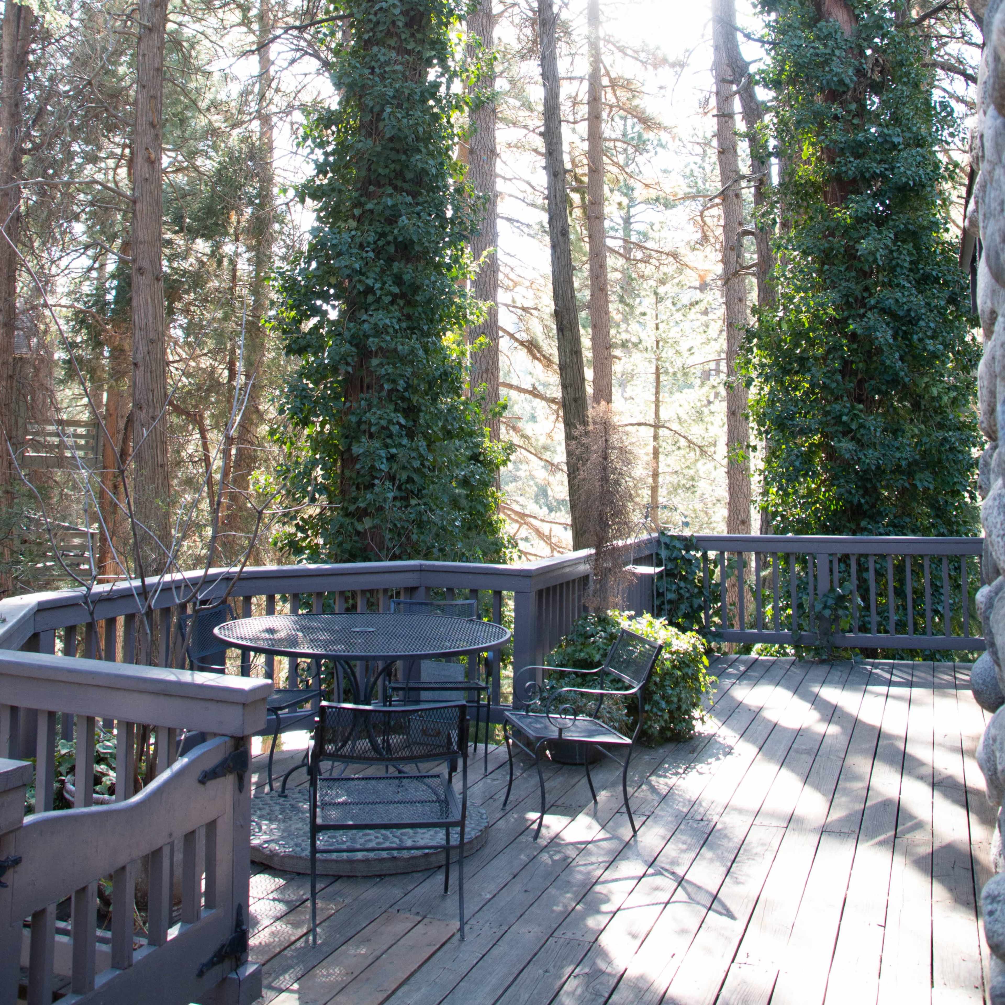 A wooden deck is surrounded by tall trees covered in ivy, with sunlight filtering through the branches.