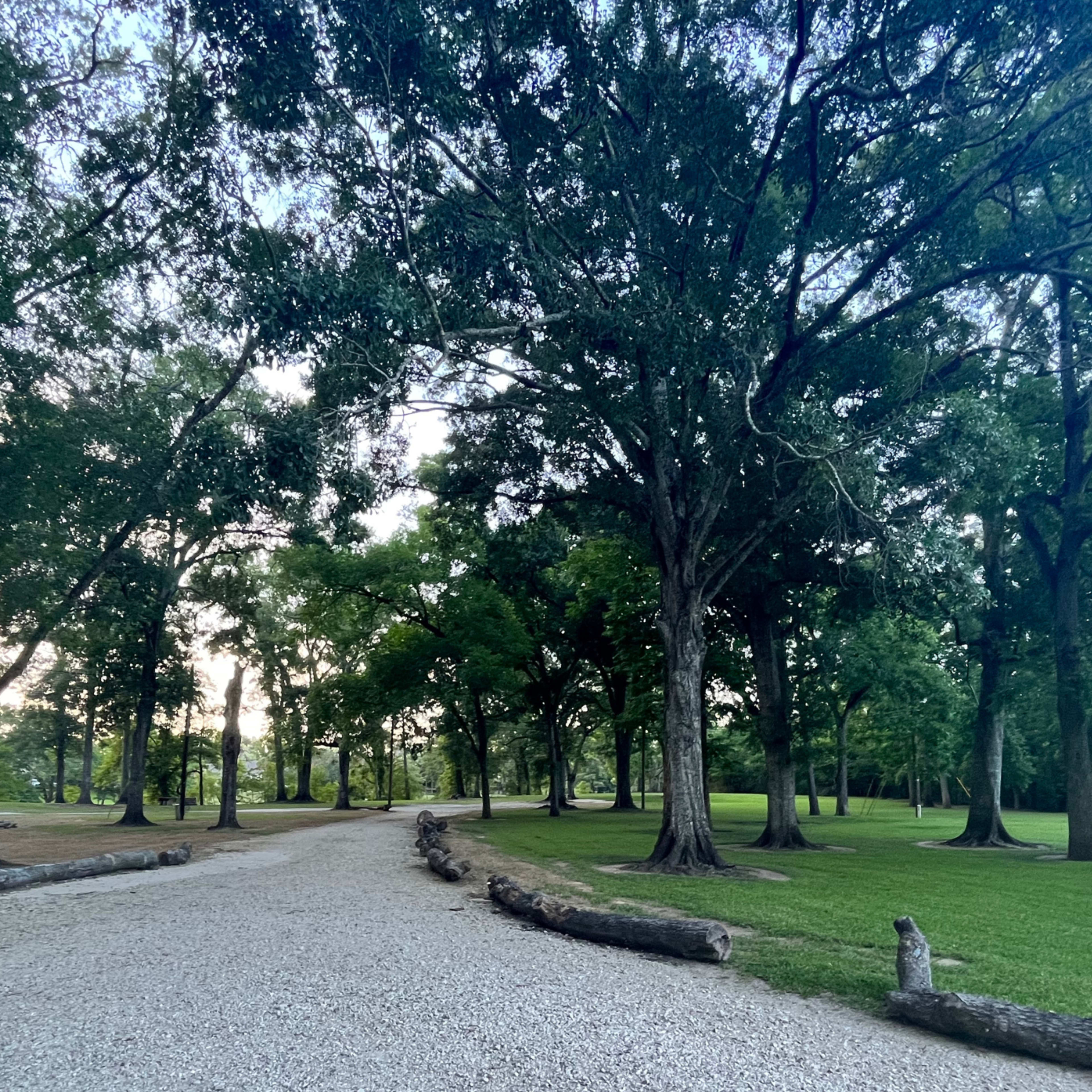 A gravel path winds through a park filled with large trees and grassy areas.