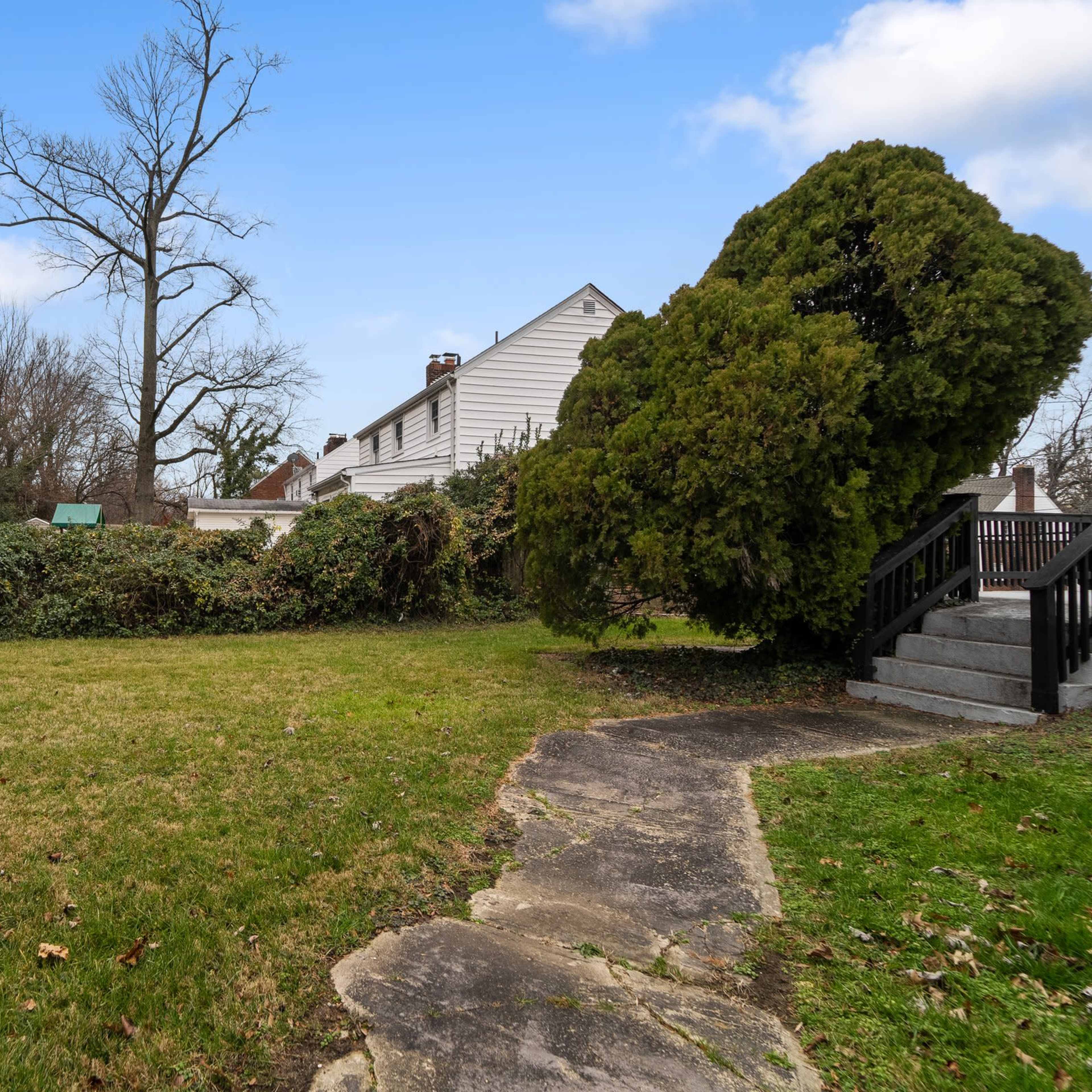 A grassy yard with a concrete pathway leading to a staircase, surrounded by trees and shrubs.