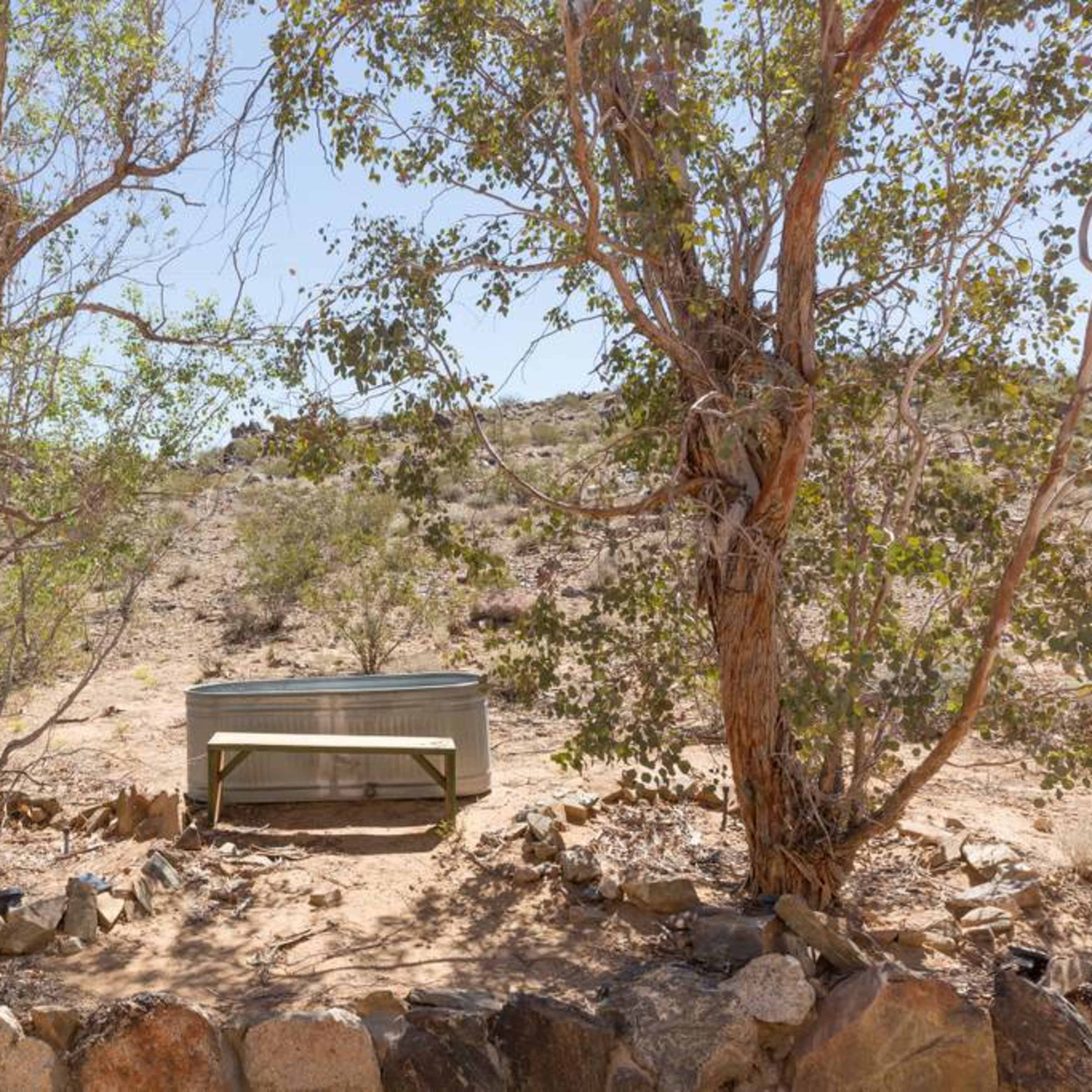 A wooden bench is positioned between two trees in a dry, desert landscape.