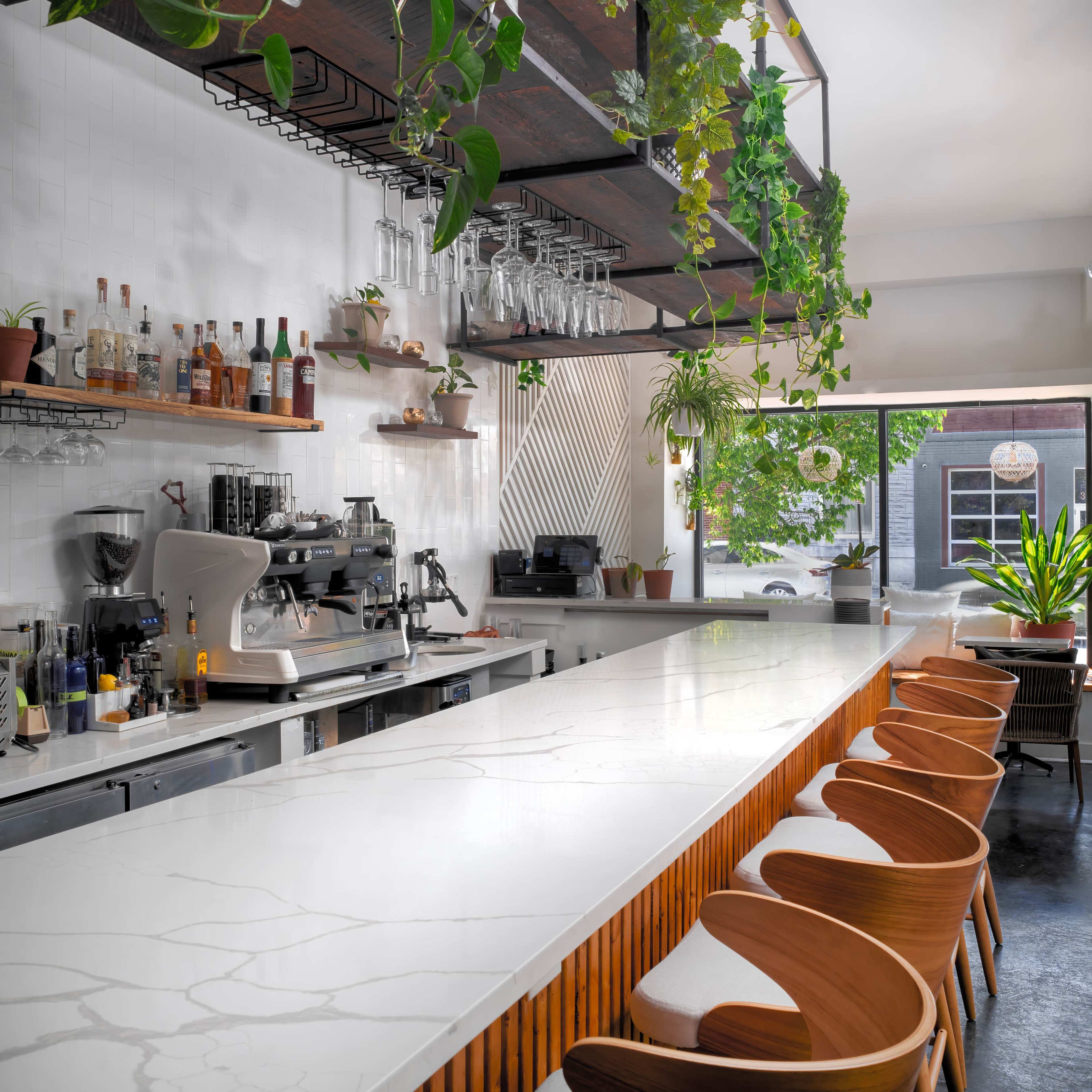 A modern bar featuring a long white countertop, wooden stools, and greenery hanging from overhead shelves.