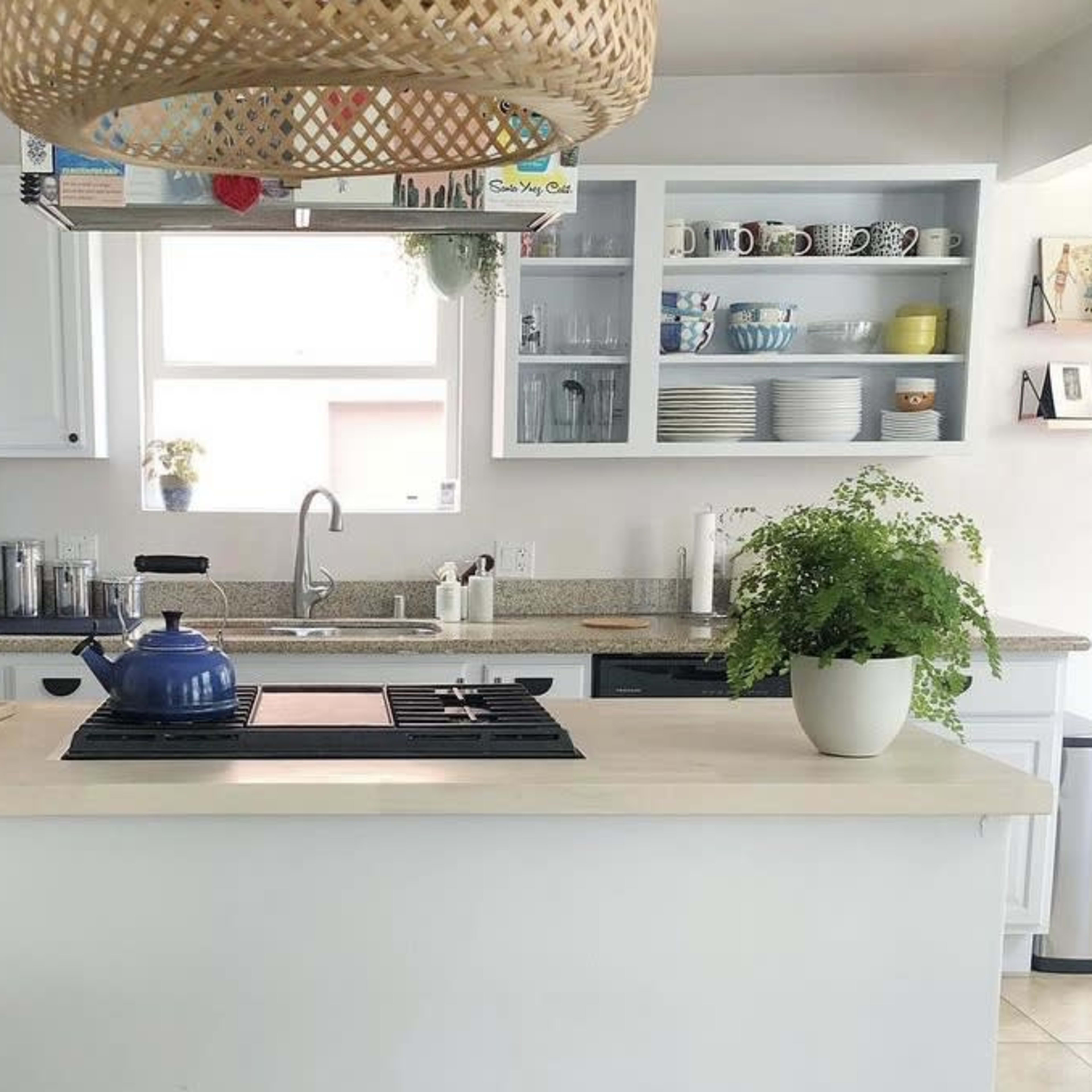 A clean kitchen features a central island with a stovetop, surrounded by shelves displaying dishes and a green plant on the counter.