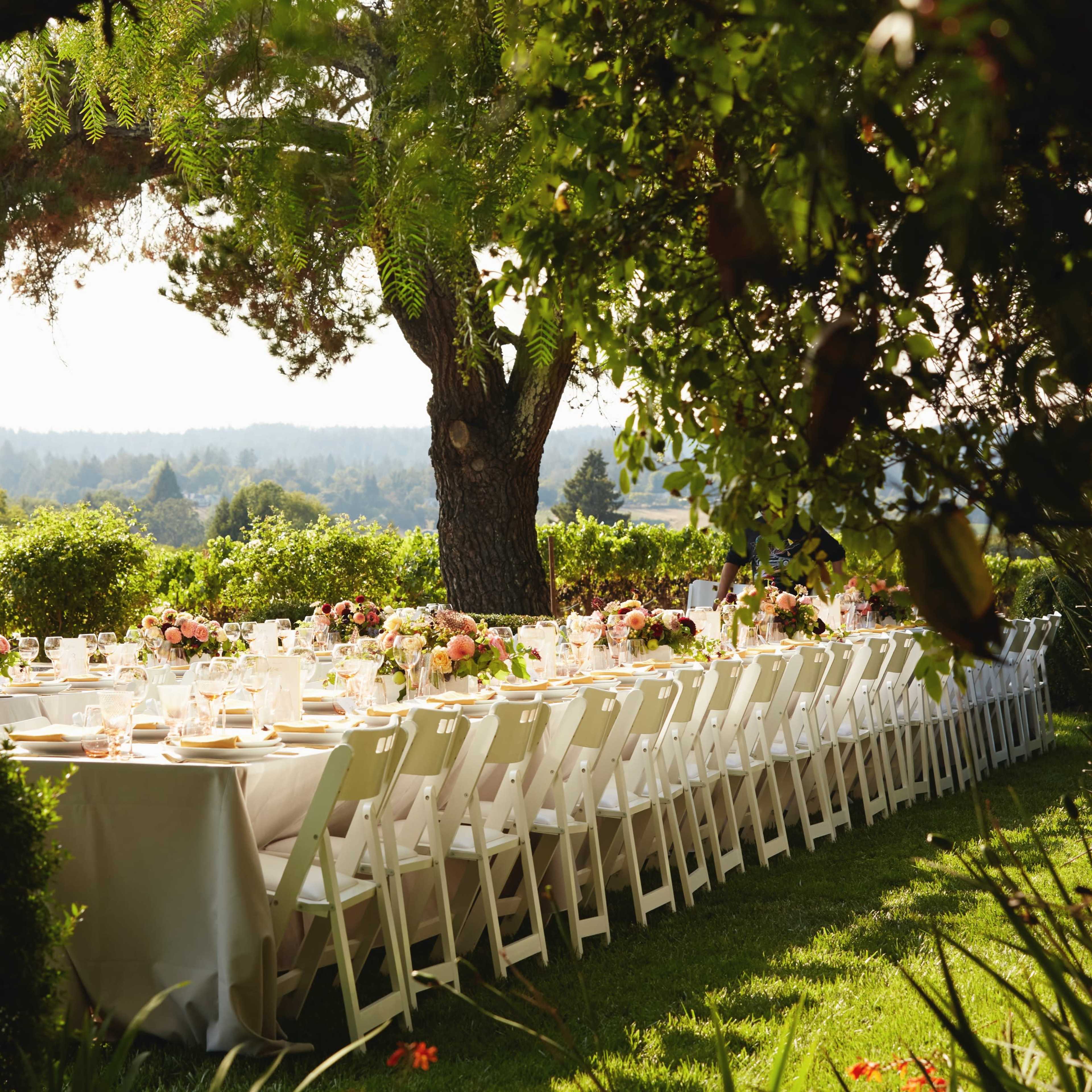 Stunning Boutique Vineyard Estate for Workshops, Retreats, Photoshoots, Off-Sites & Gatherings Image in , Sebastopol, CA