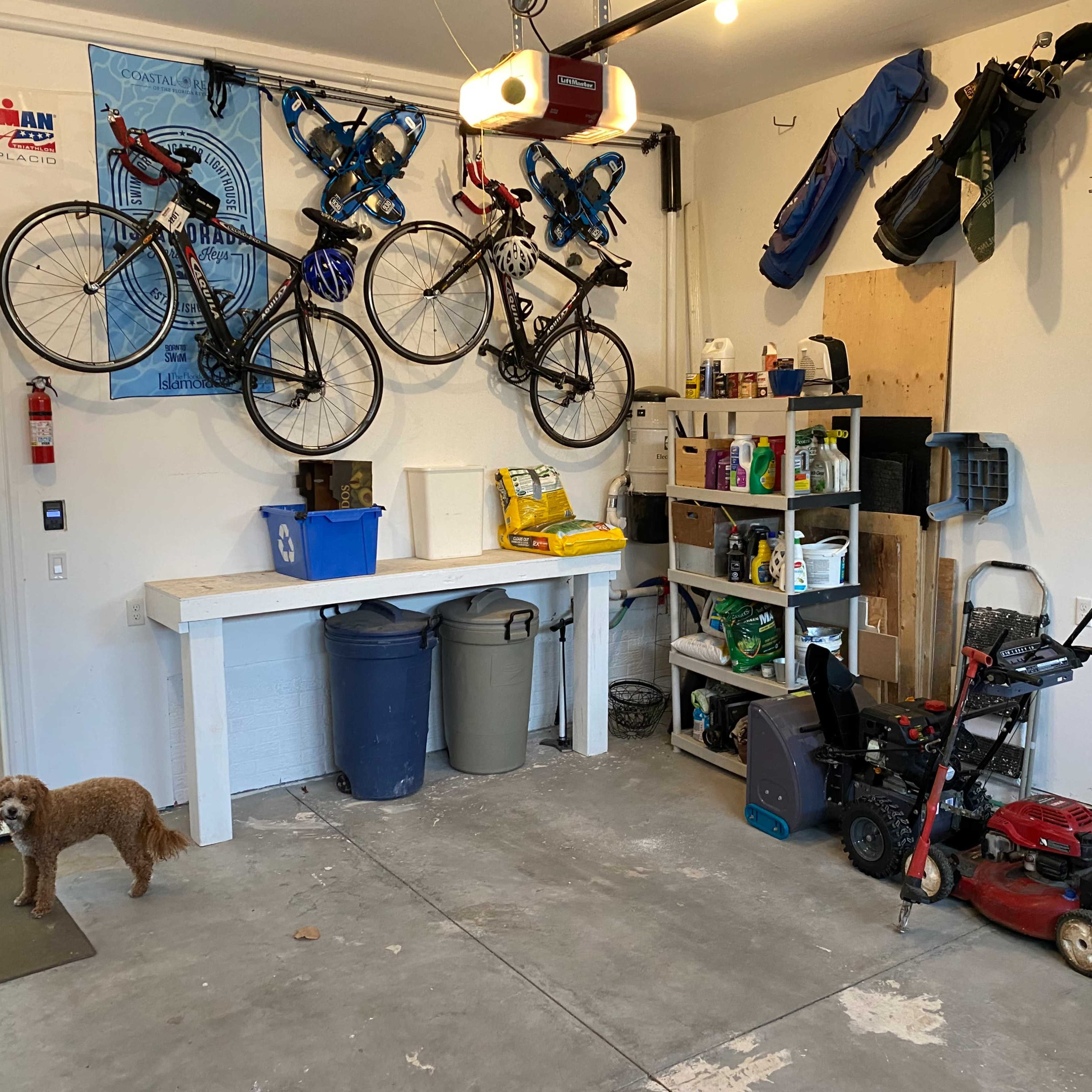 A garage features bicycles hung on the wall, a workbench with storage items, bins for recycling, and gardening tools, along with a dog standing on the floor.