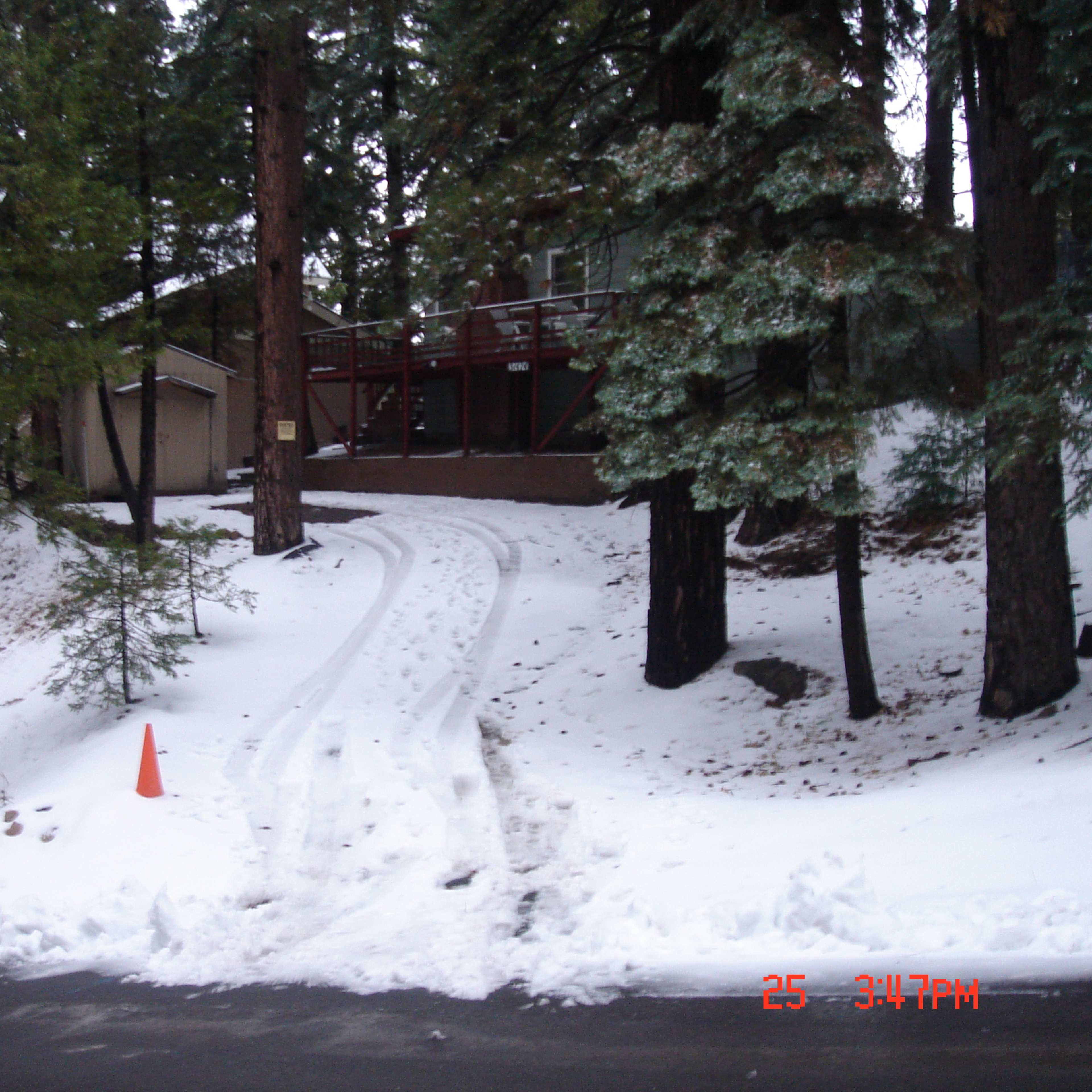 A snowy driveway leads up to a cabin nestled among tall pine trees.