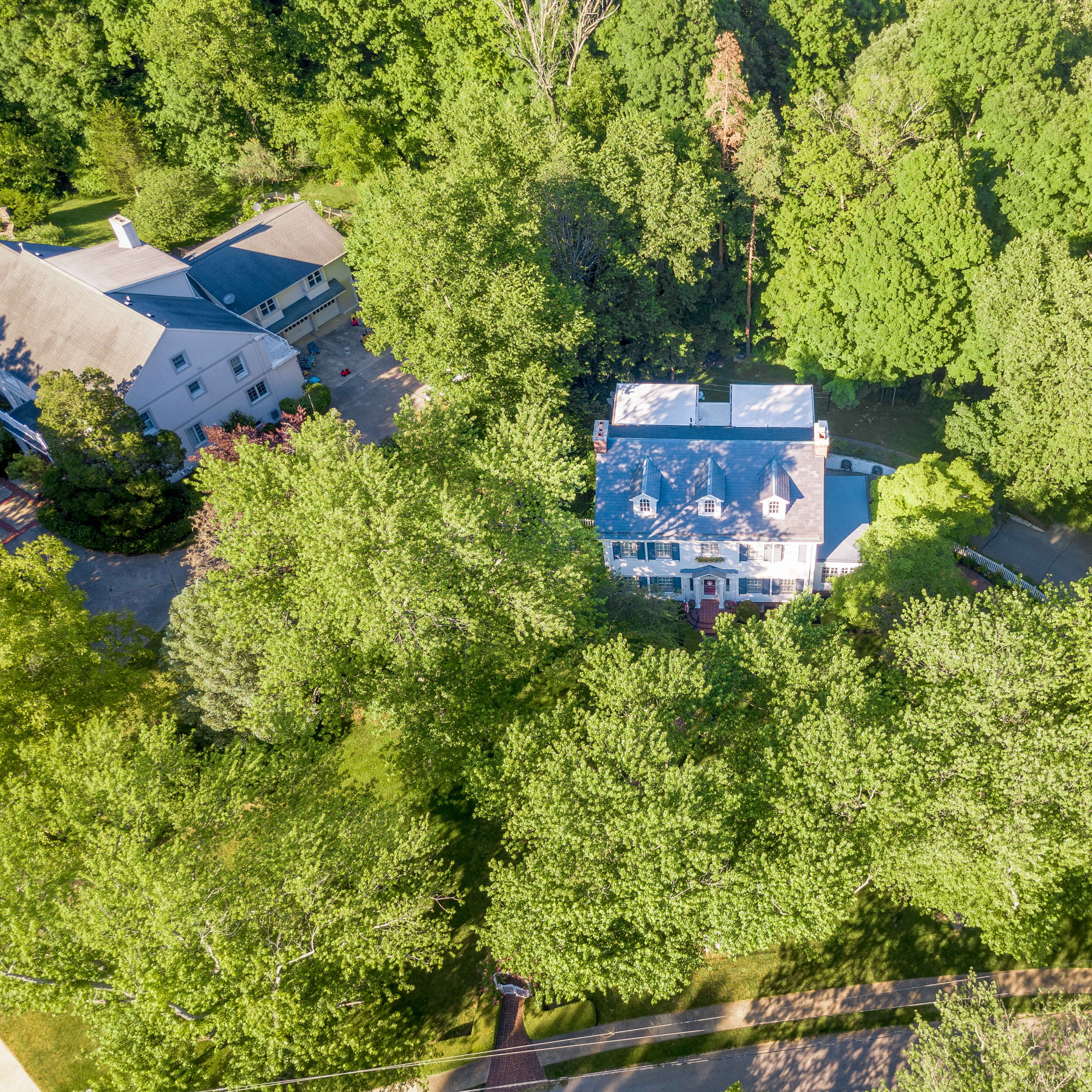 A large house with a blue roof is surrounded by dense green trees and foliage.