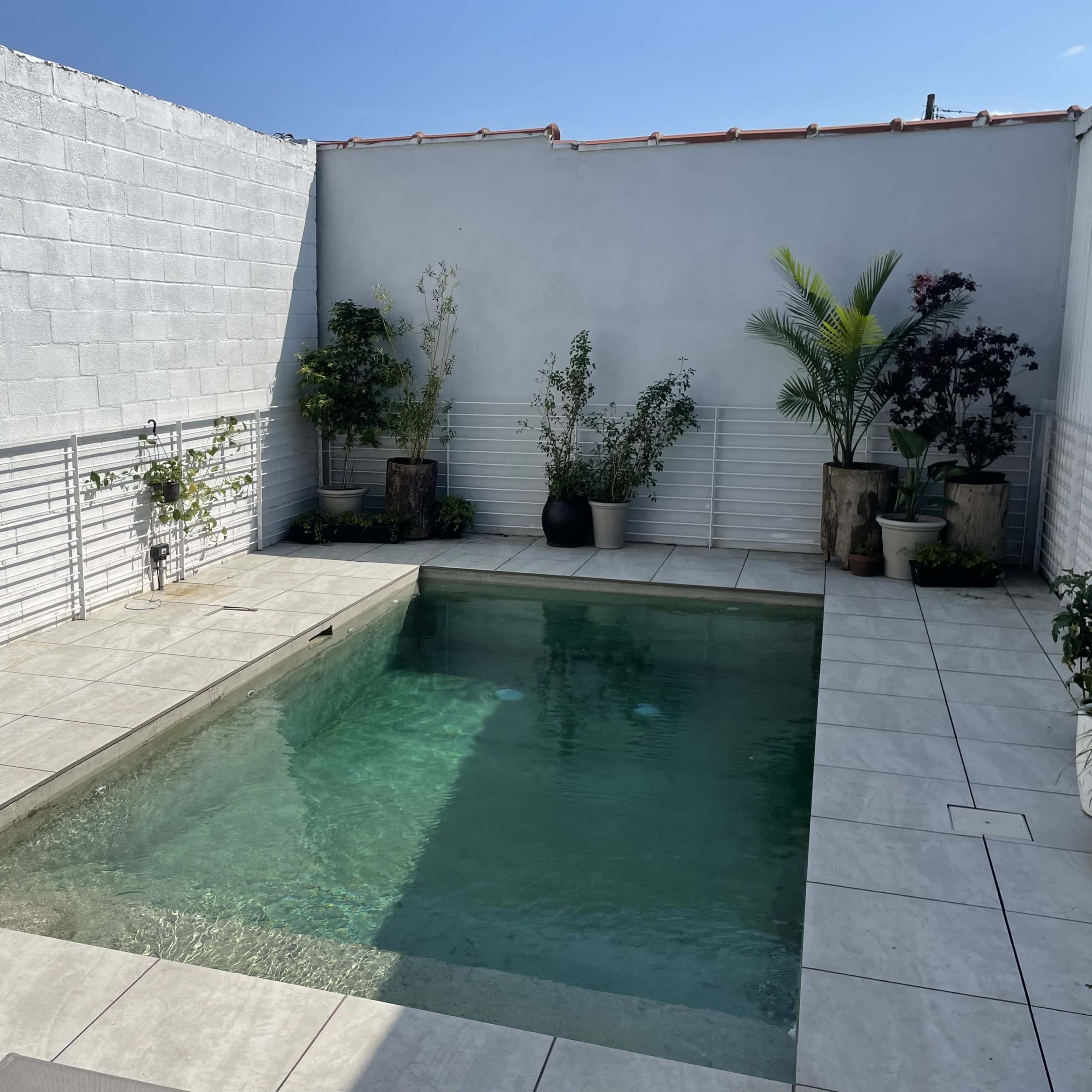 A rectangular swimming pool surrounded by tiled areas and potted plants in a sunlit outdoor space.