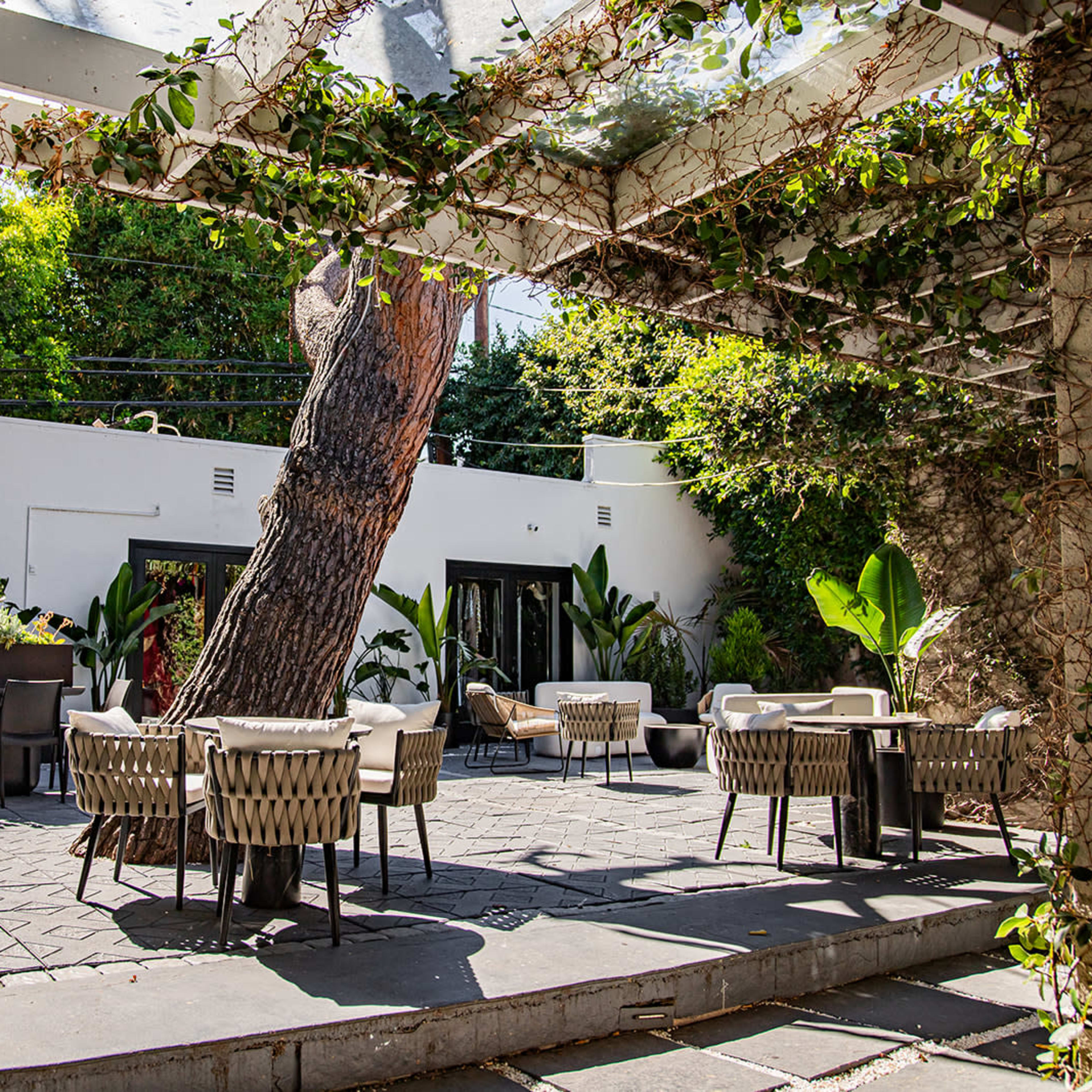 An outdoor patio area with several tables and chairs surrounded by greenery and a large tree.