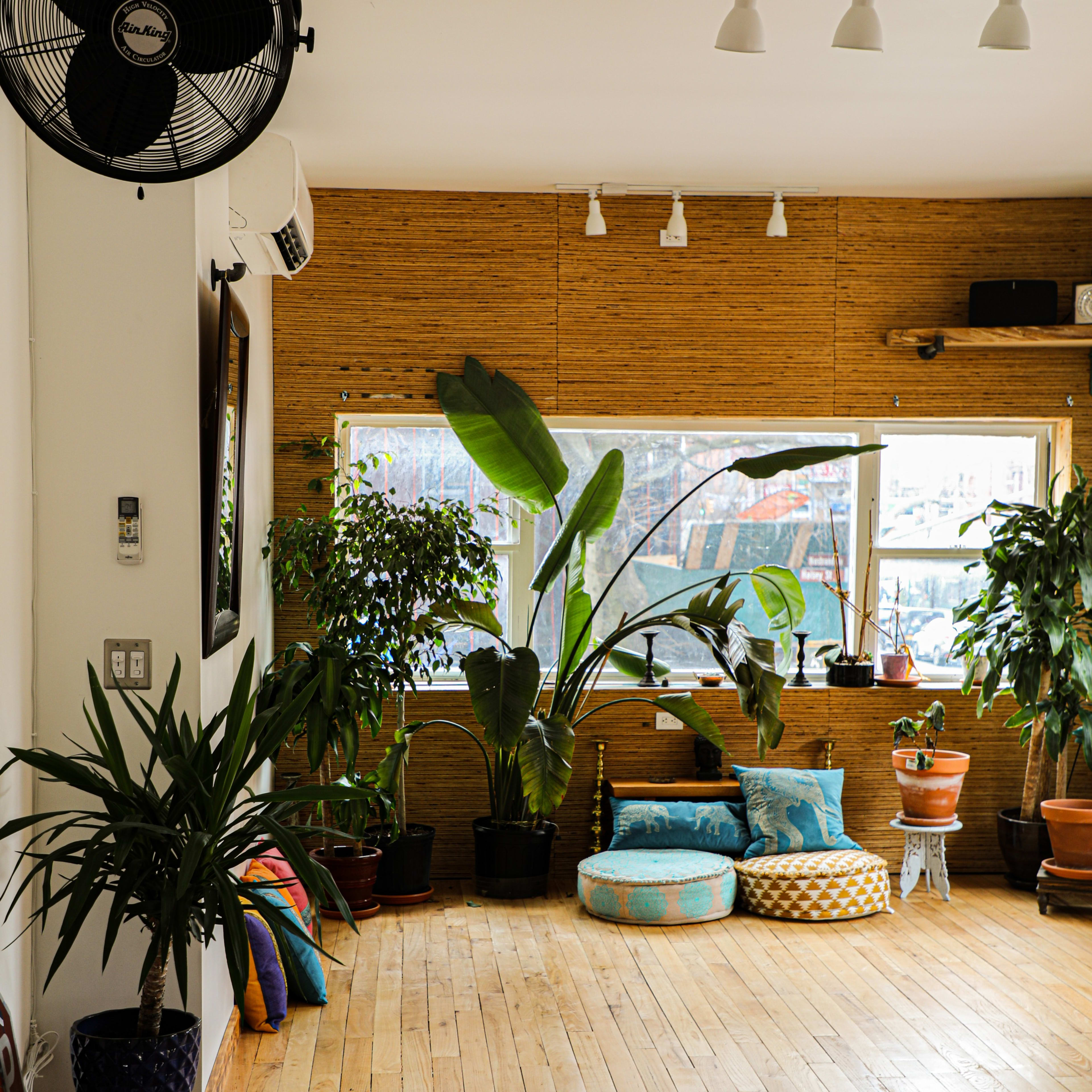 The room features wooden flooring, large windows with plants, and colorful cushions arranged on the floor.
