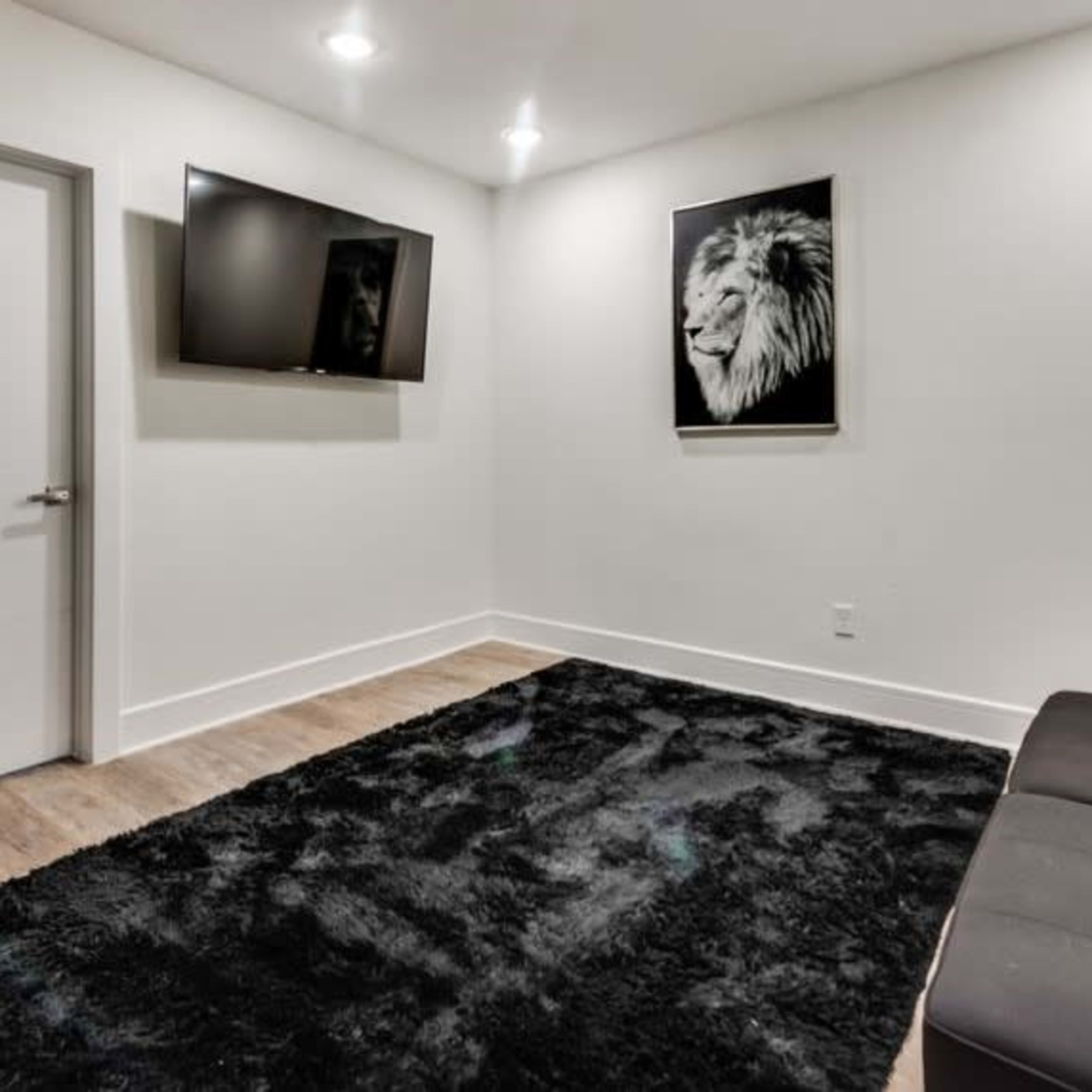 The room features a black couch, a large black rug, a wall-mounted television, and a framed picture of a lion.