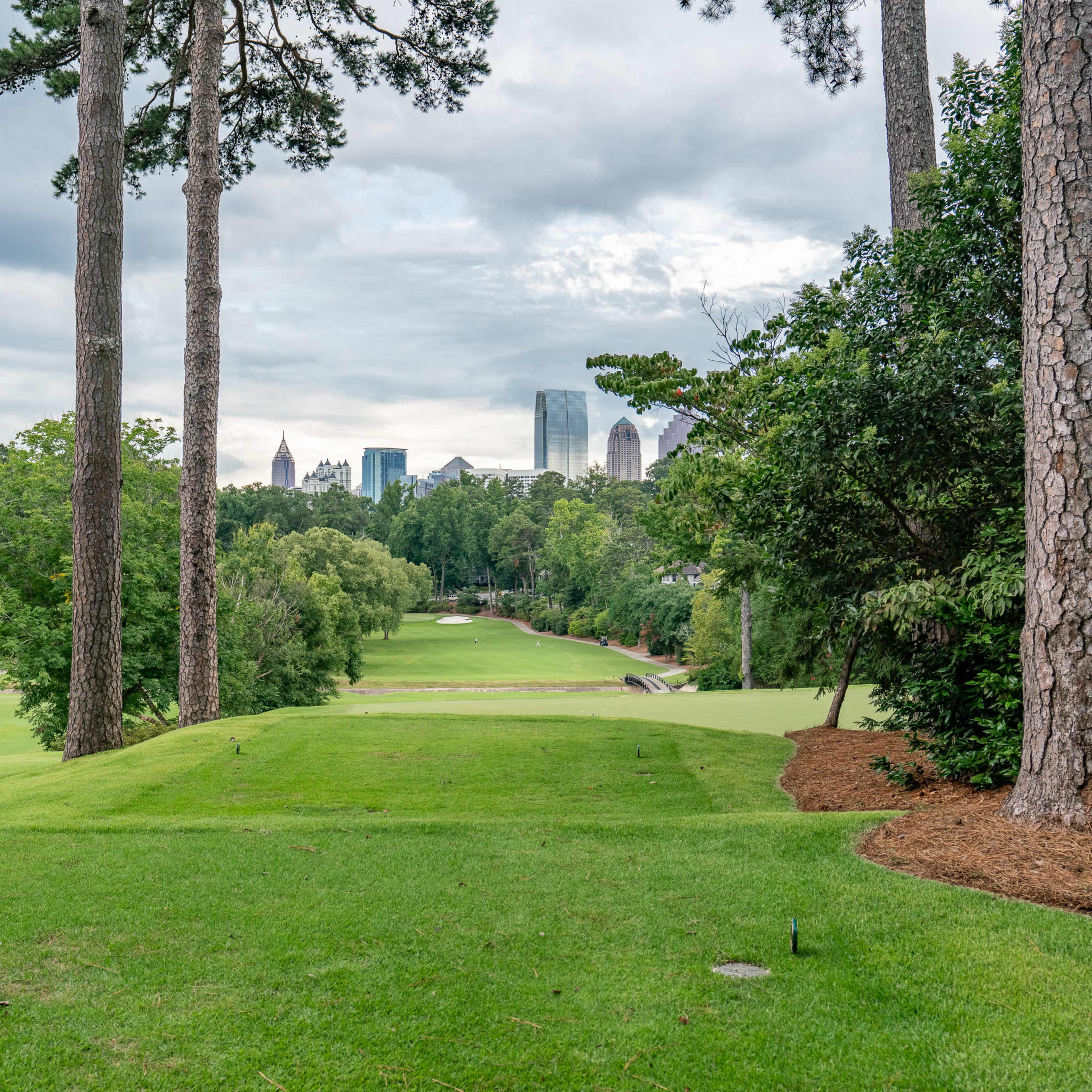 A golf course with a view of a city skyline in the background, framed by tall trees on either side.