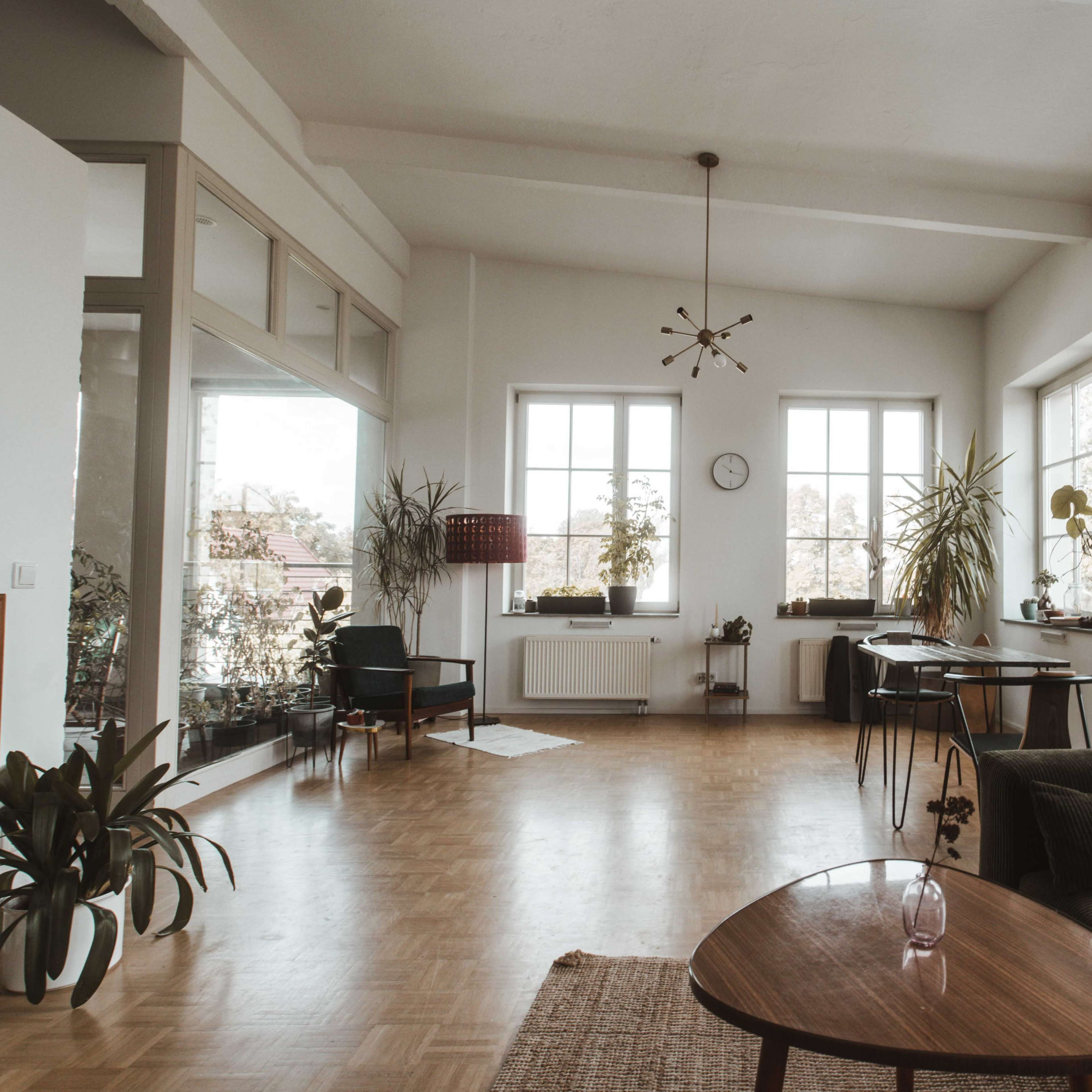 A spacious living room features large windows, wooden flooring, and various indoor plants set in modern furniture.