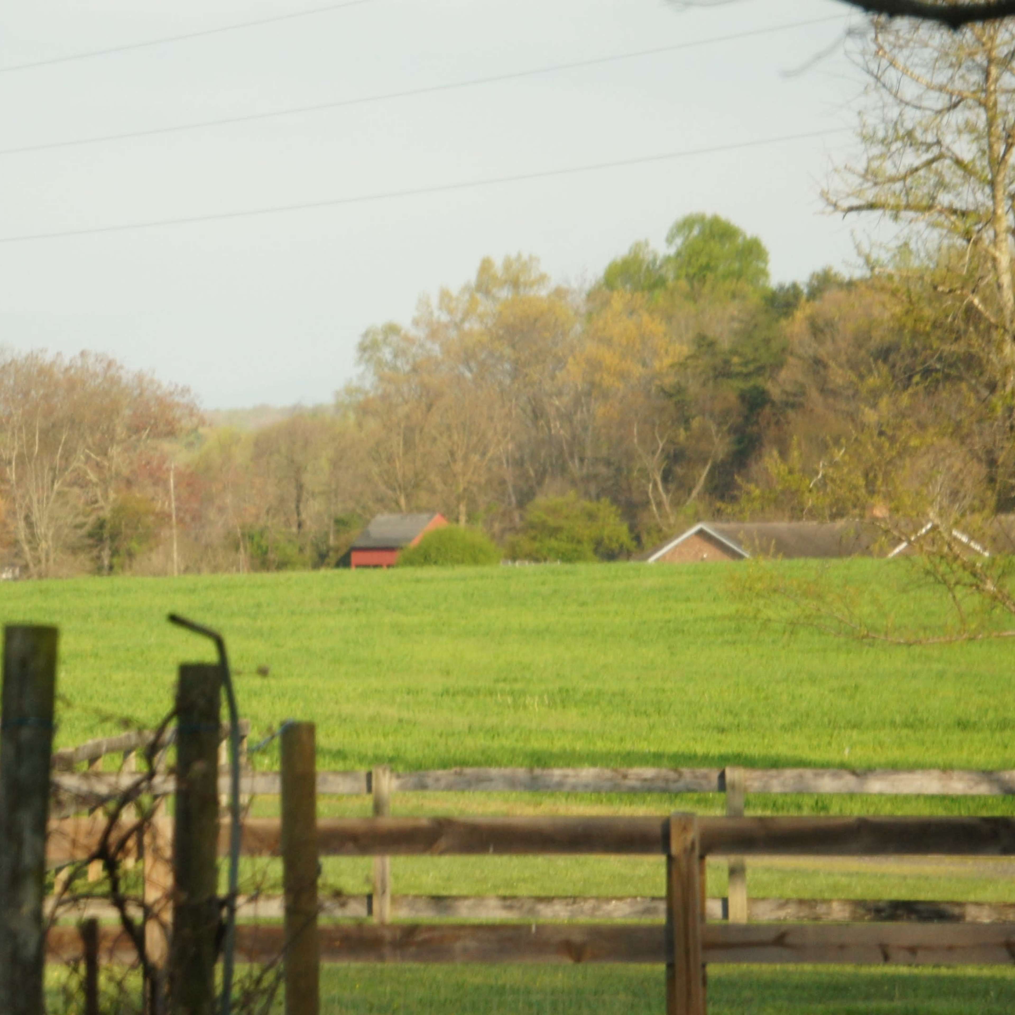 A green pasture bordered by wooden fences features a few trees in autumn colors and distant farm buildings.