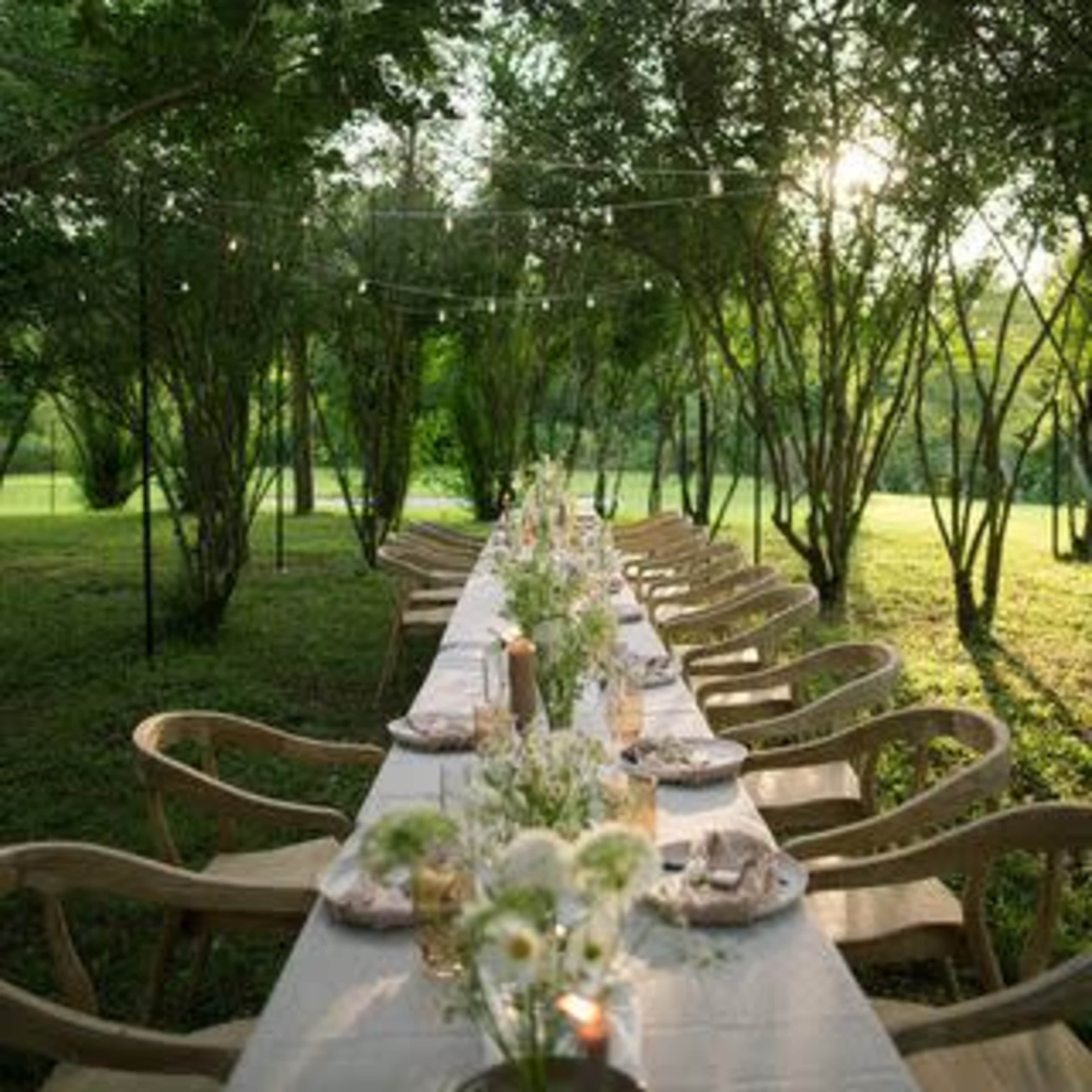 A long dining table is set outdoors under string lights, surrounded by trees and greenery.
