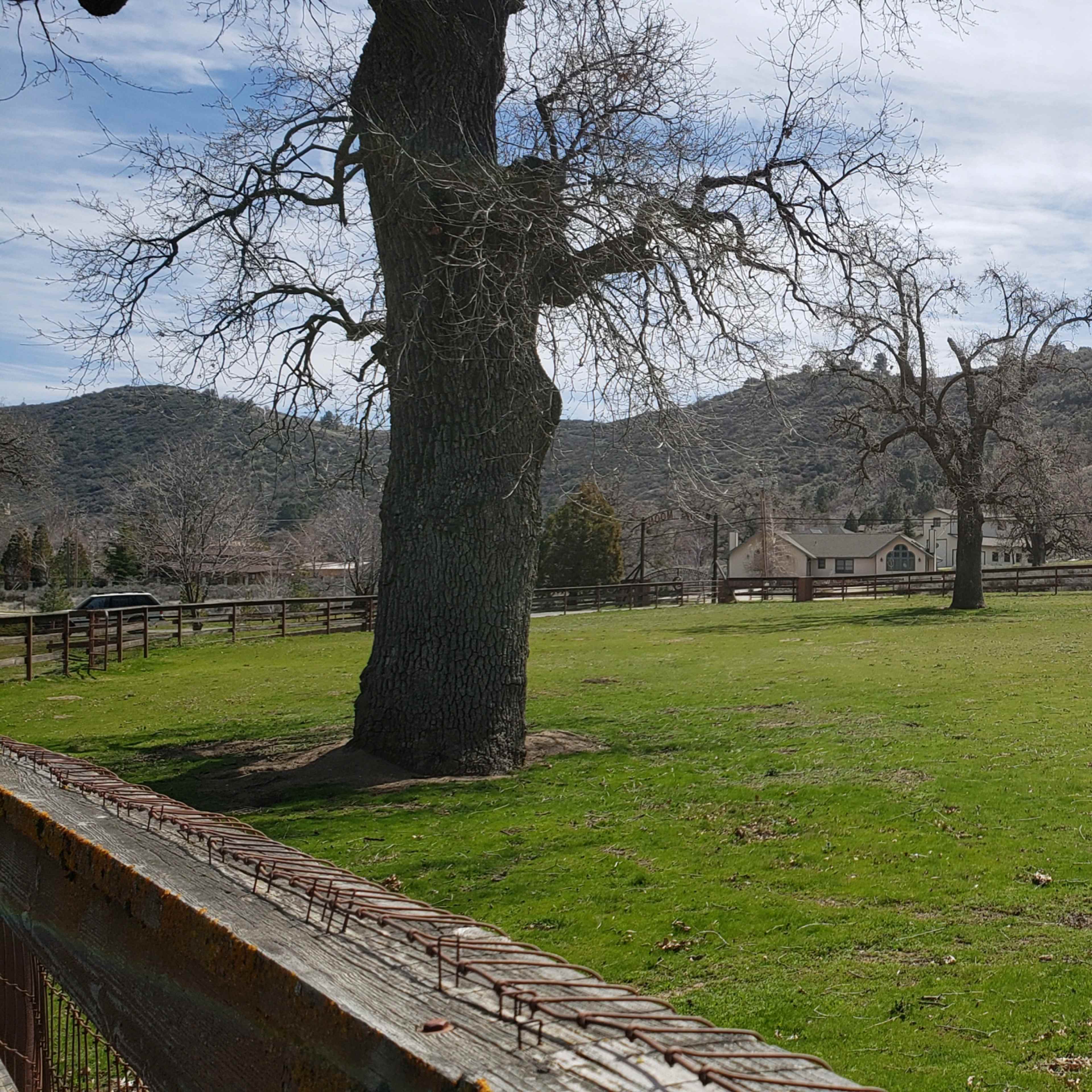 A wide grassy area is bordered by a wooden fence, with a few trees and hills in the background under a cloudy sky.