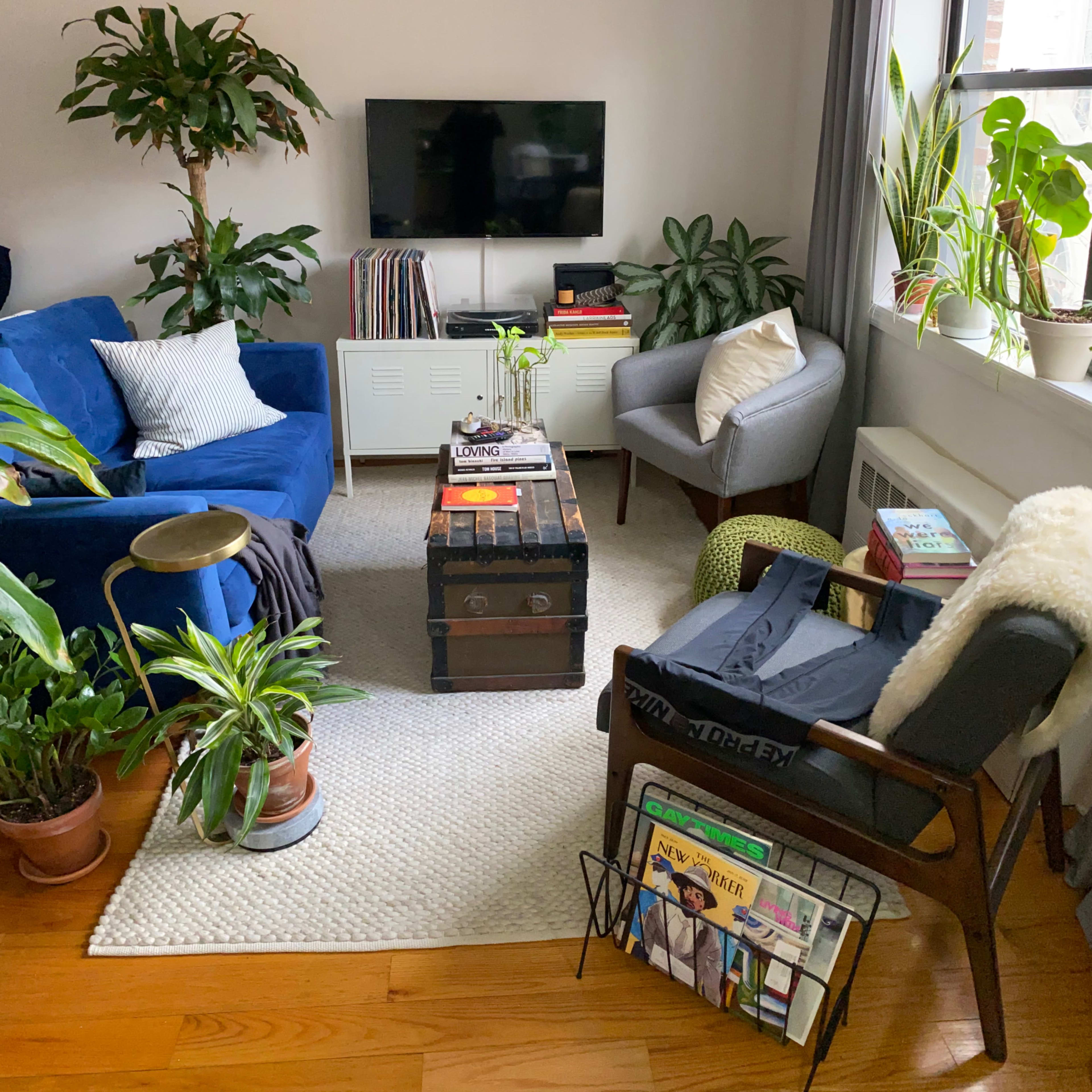 A cozy living room features a blue sofa, a gray armchair, a coffee table, plants, and a television mounted on the wall.