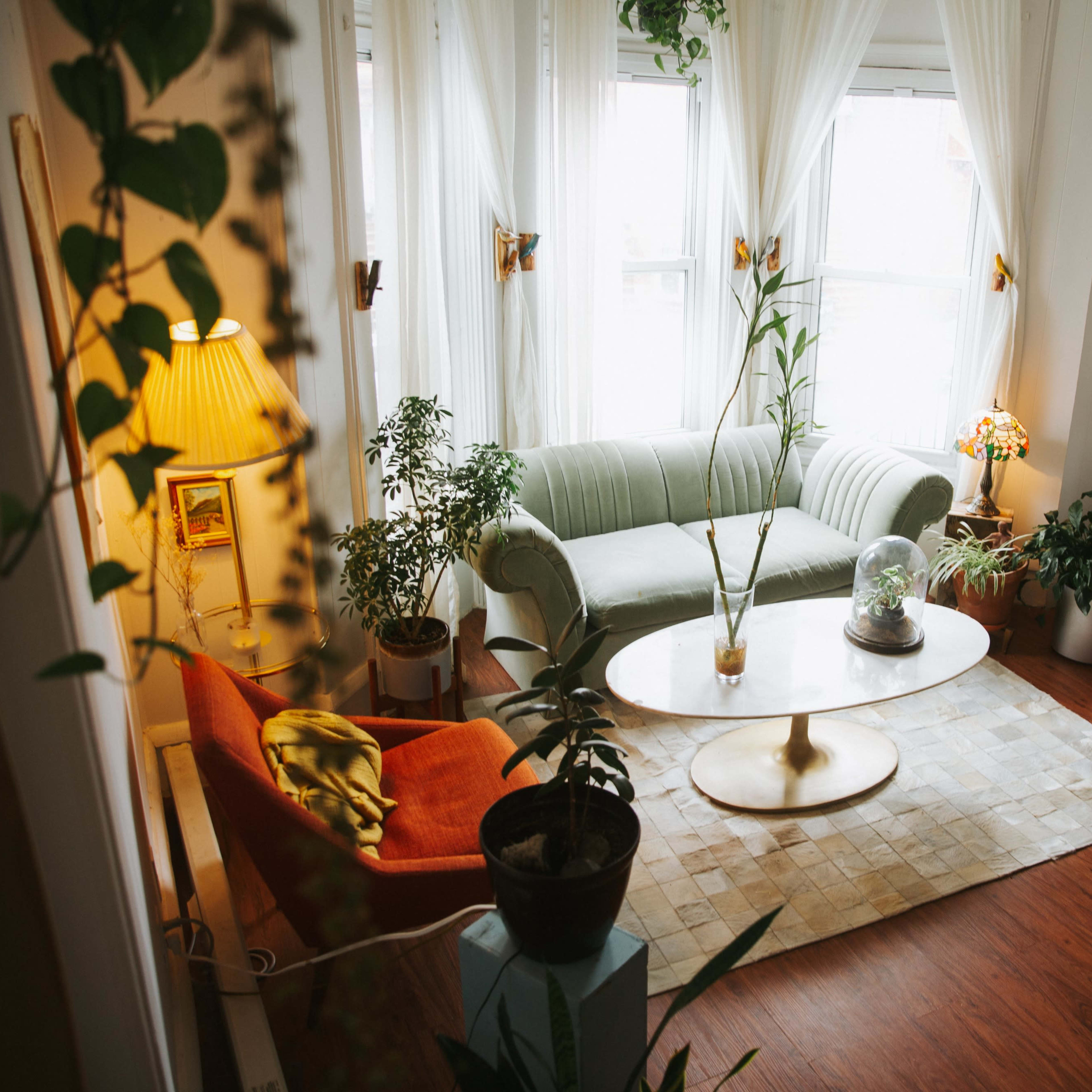 A cozy living room features a green couch, an orange chair, plants throughout, and a coffee table centered on a textured rug.