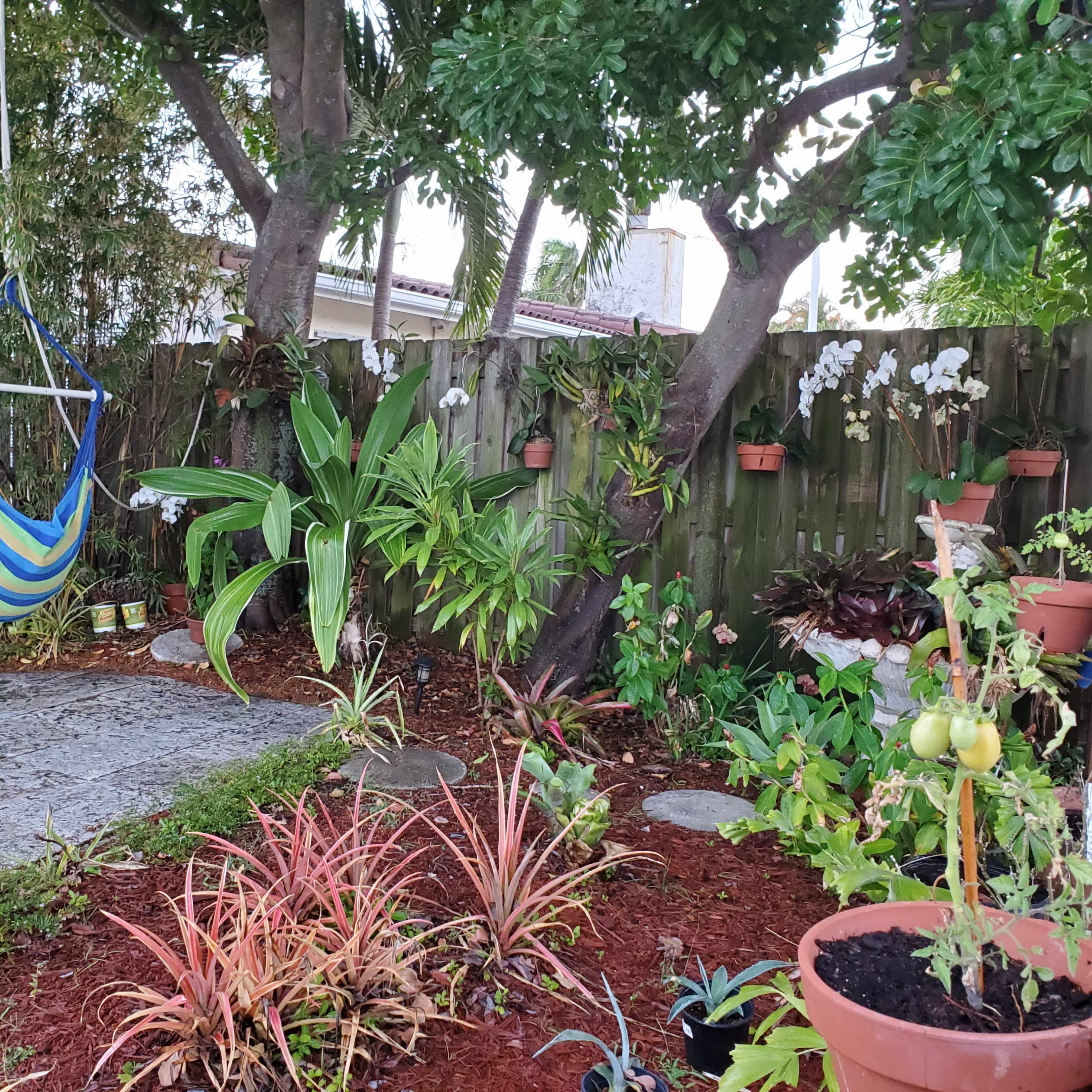 A garden area with a hammock hanging between two trees, surrounded by various plants and potted flowers along a mulched bed.