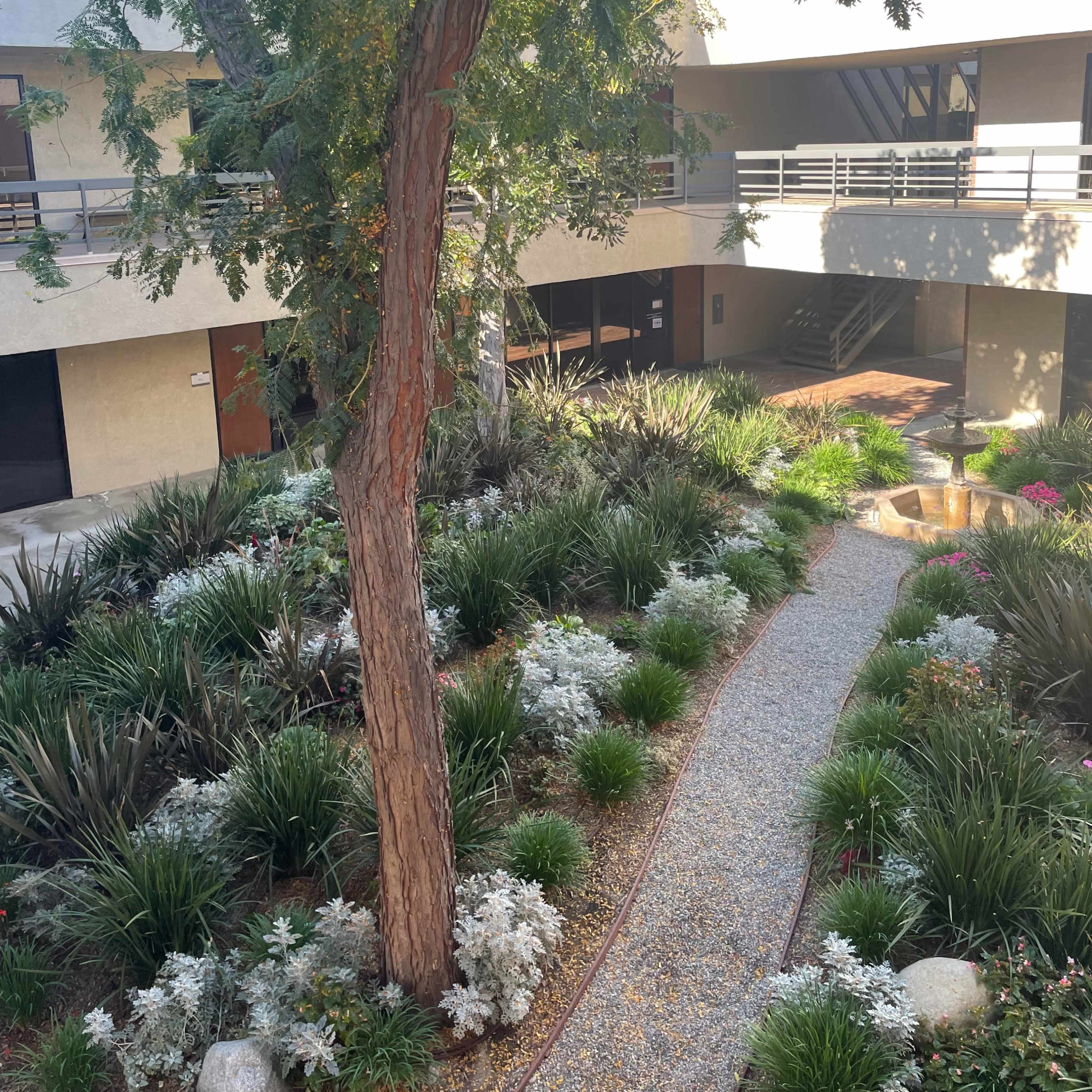 A landscaped courtyard featuring a large tree, a gravel pathway, and various plants and flowers surrounding a small fountain.