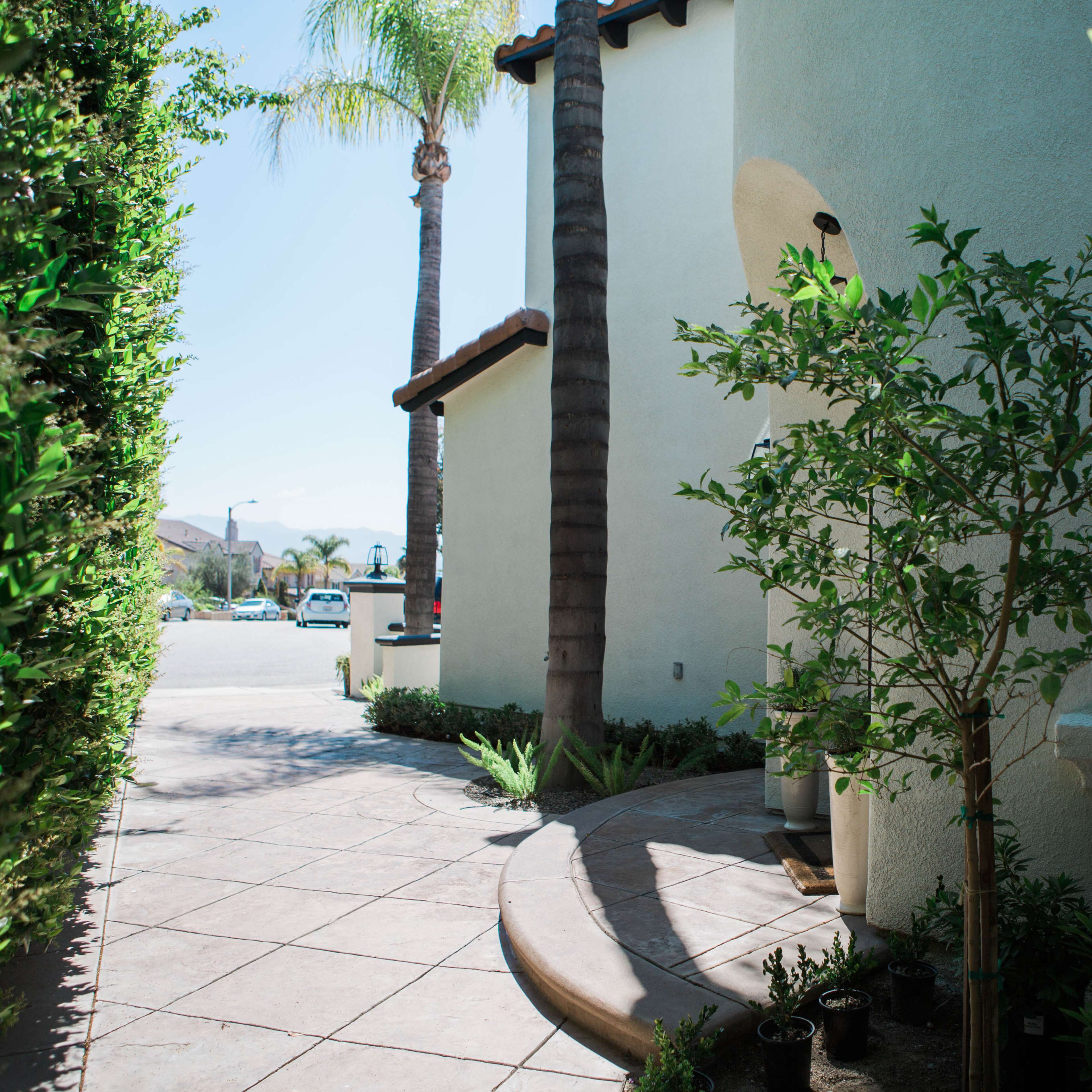 A narrow pathway lined with lush greenery leading to a house, with a sidewalk and street visible in the background.