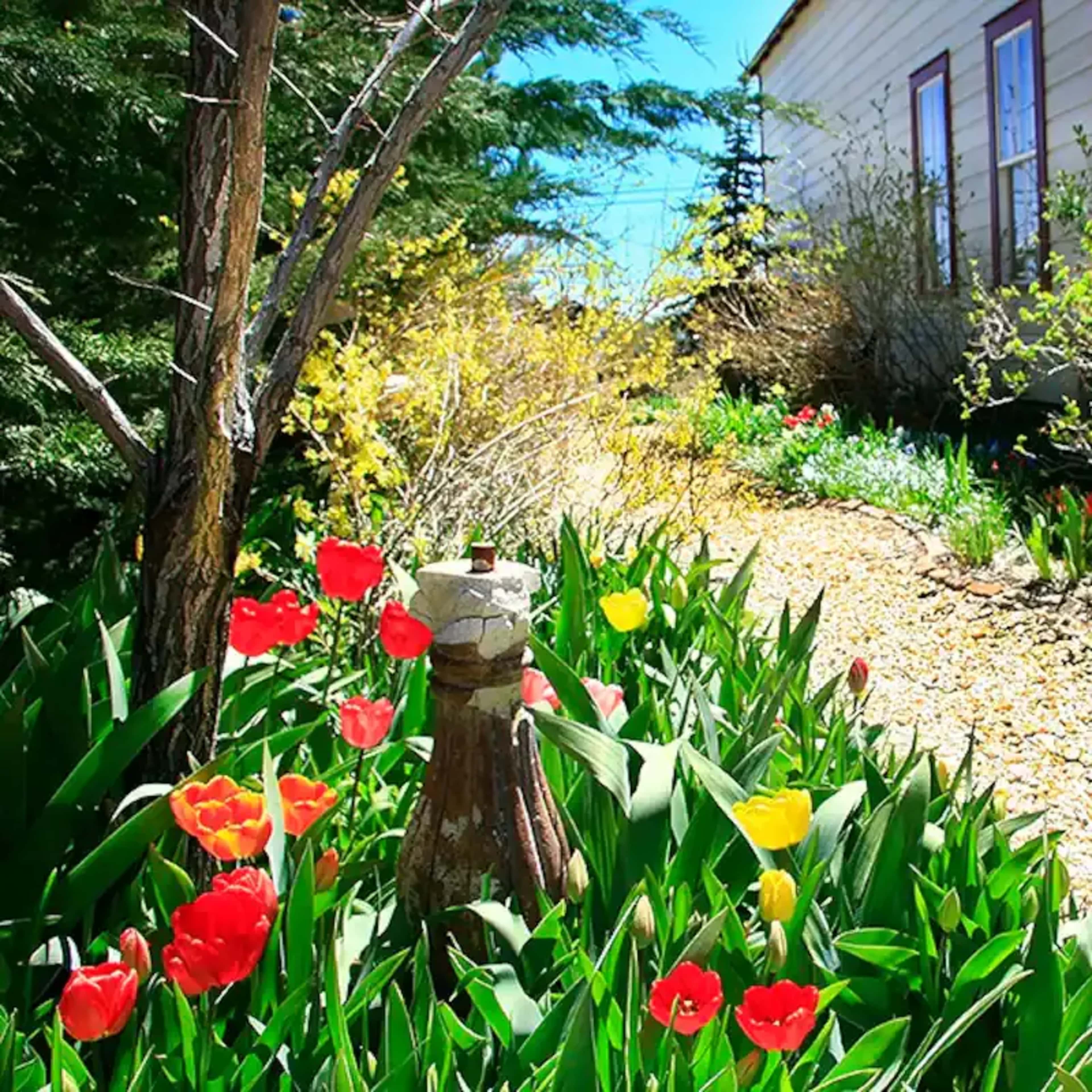 A gravel pathway lined with colorful flowers leads to a house with windows on one side.