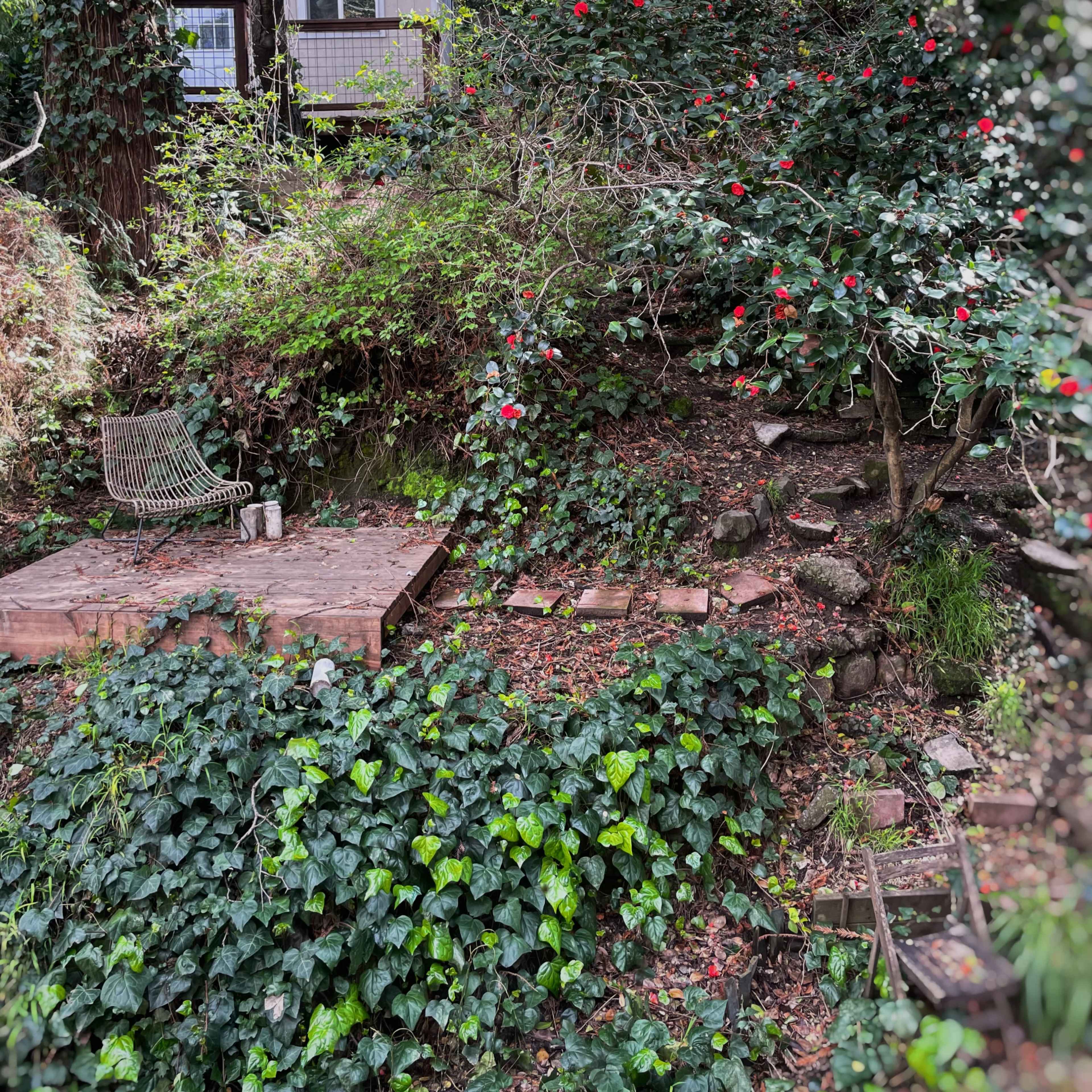 A lush garden area with steps leading up to a small house, surrounded by greenery and flowering plants.