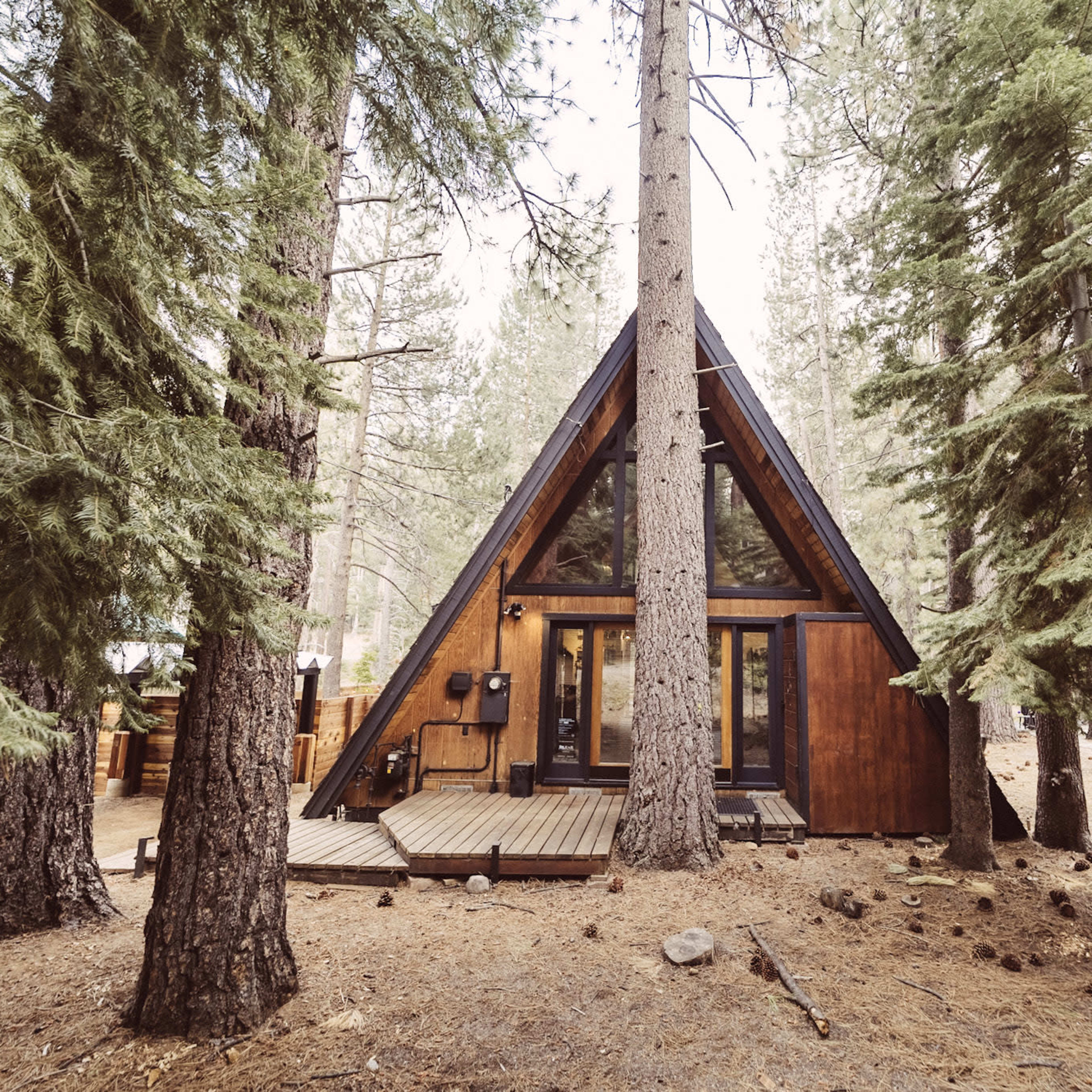 A triangular A-frame cabin is surrounded by tall pine trees in a forested area.