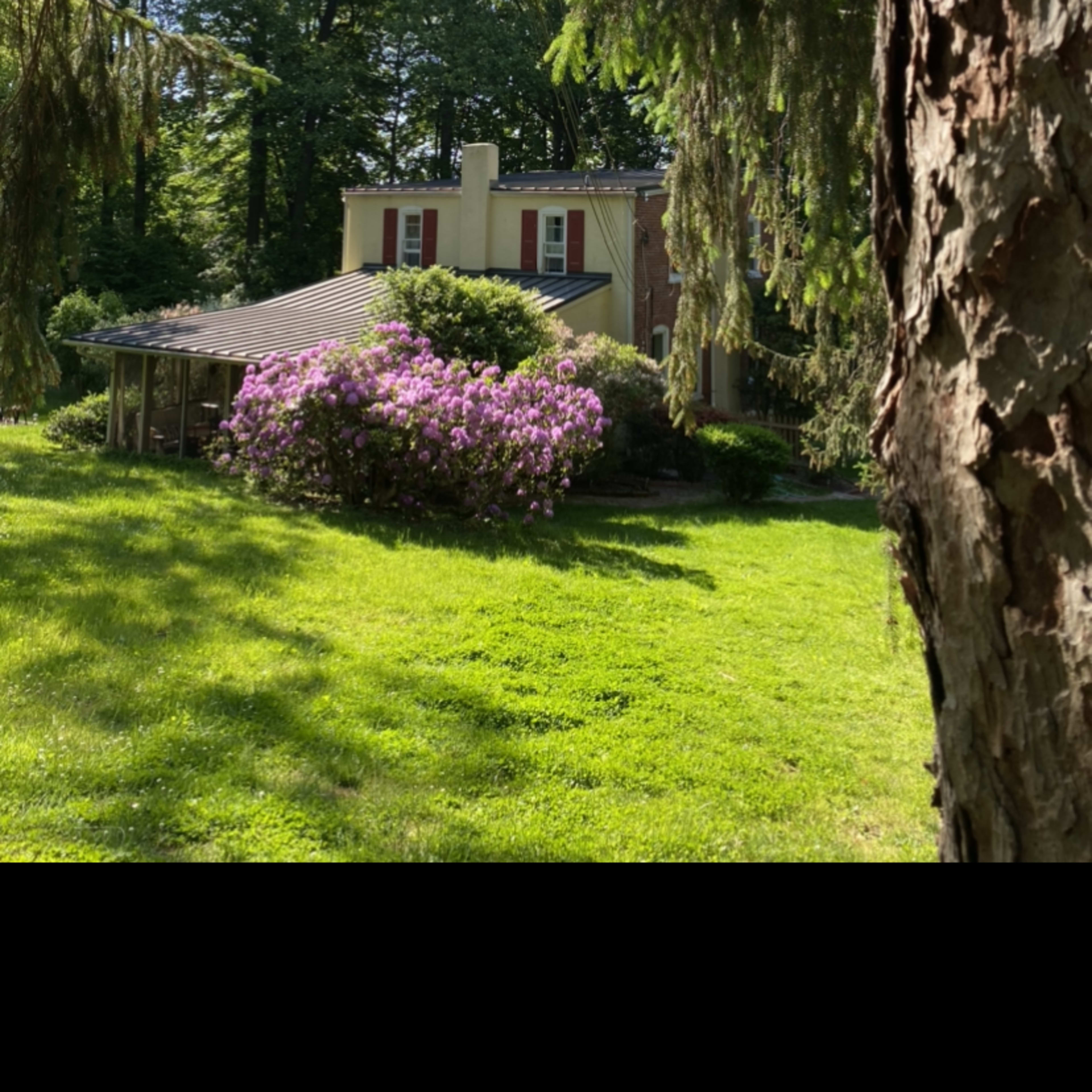 A two-story house with red window shutters is surrounded by green trees and a flowering bush in a sunny yard.