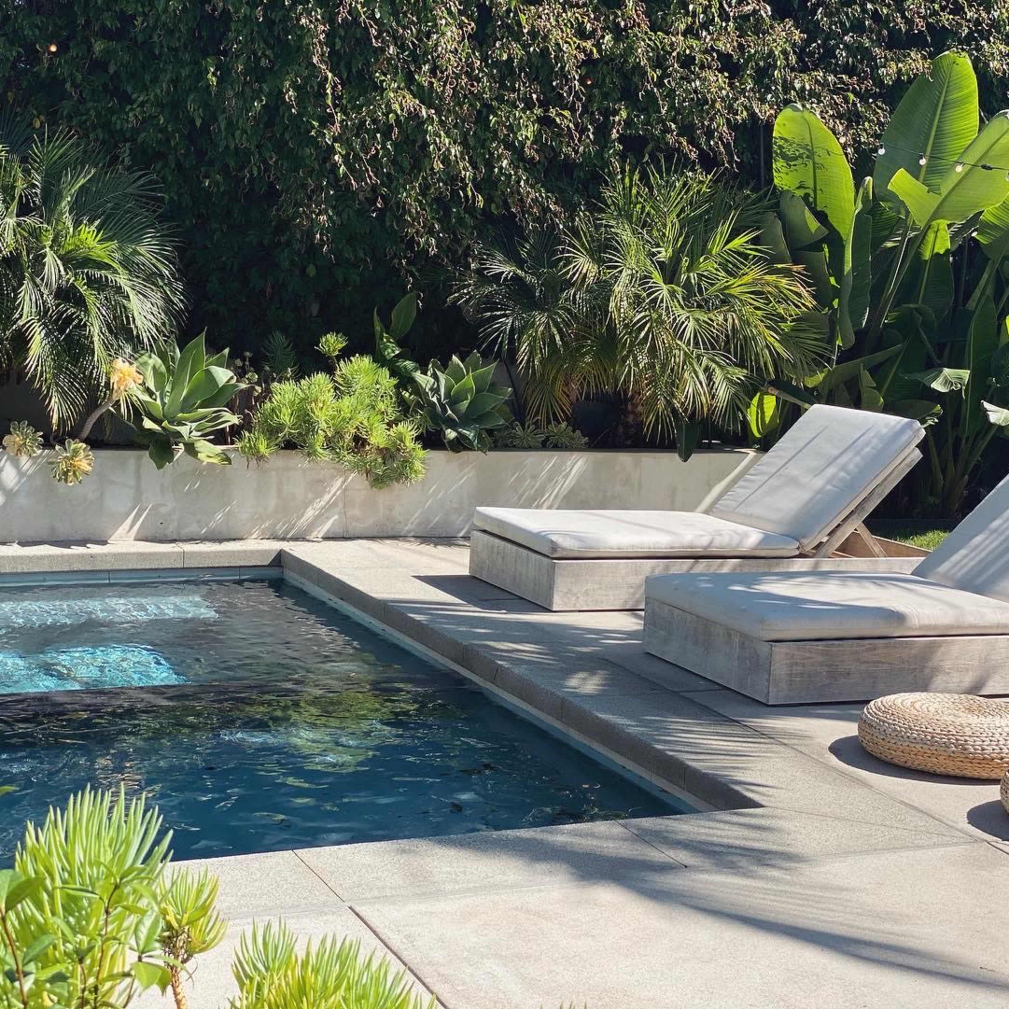 A modern patio area featuring two sun loungers beside a swimming pool, surrounded by tropical plants and greenery.
