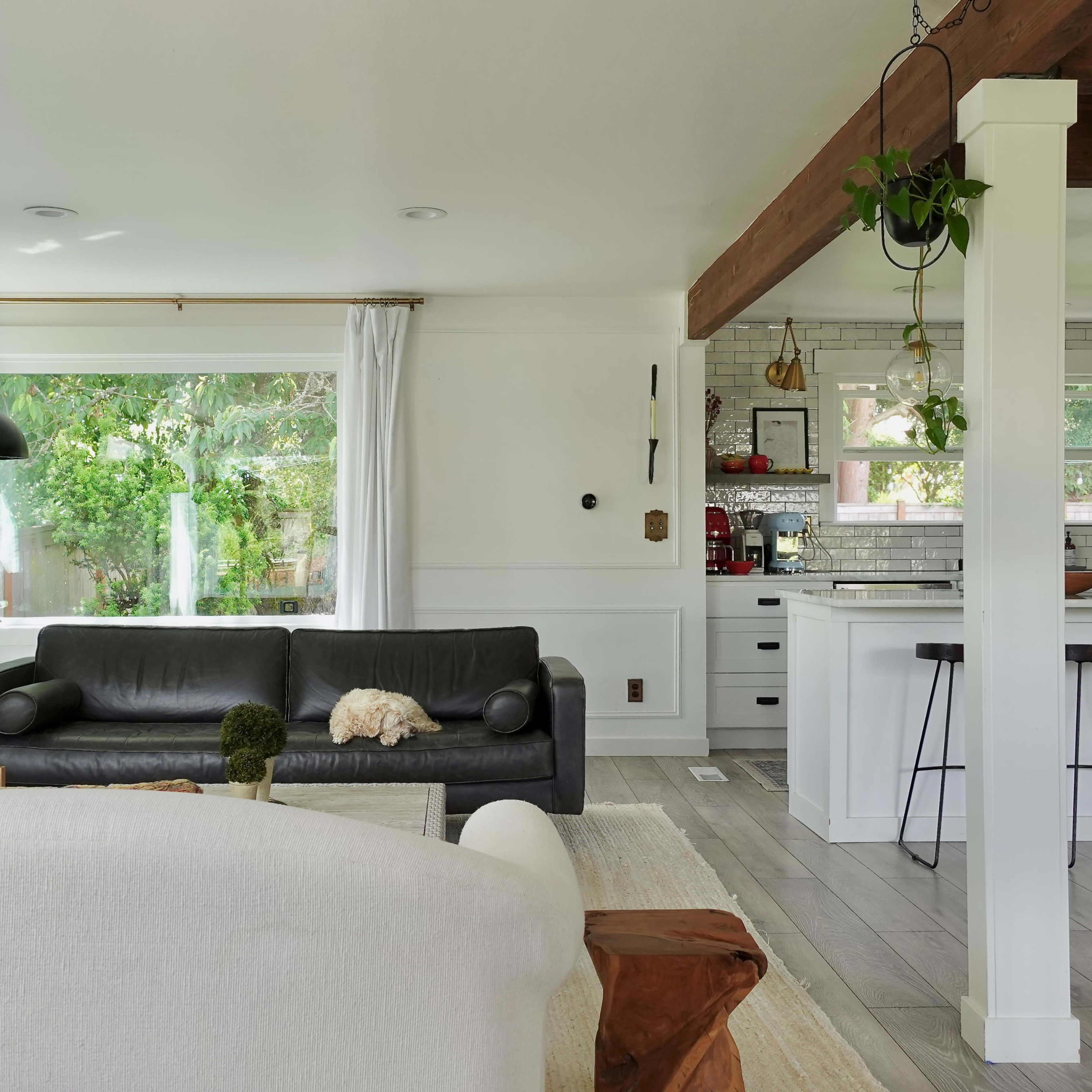 A modern living space featuring a black sofa with a dog resting on it, a light area rug, and a kitchen area with bar stools and white cabinetry.