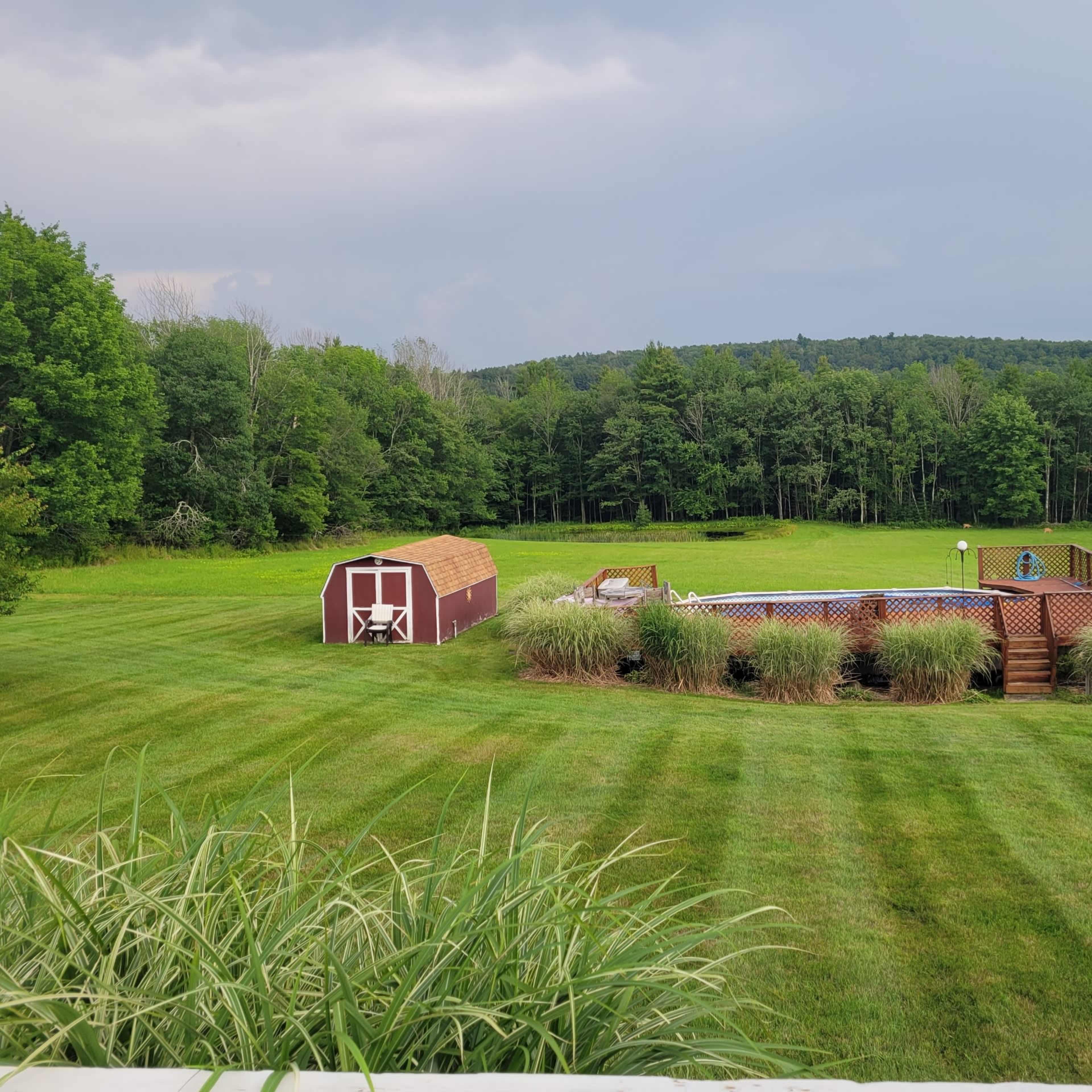 A large green lawn with a swimming pool enclosed by a wooden deck, adjacent to a storage shed and surrounded by trees in the background.