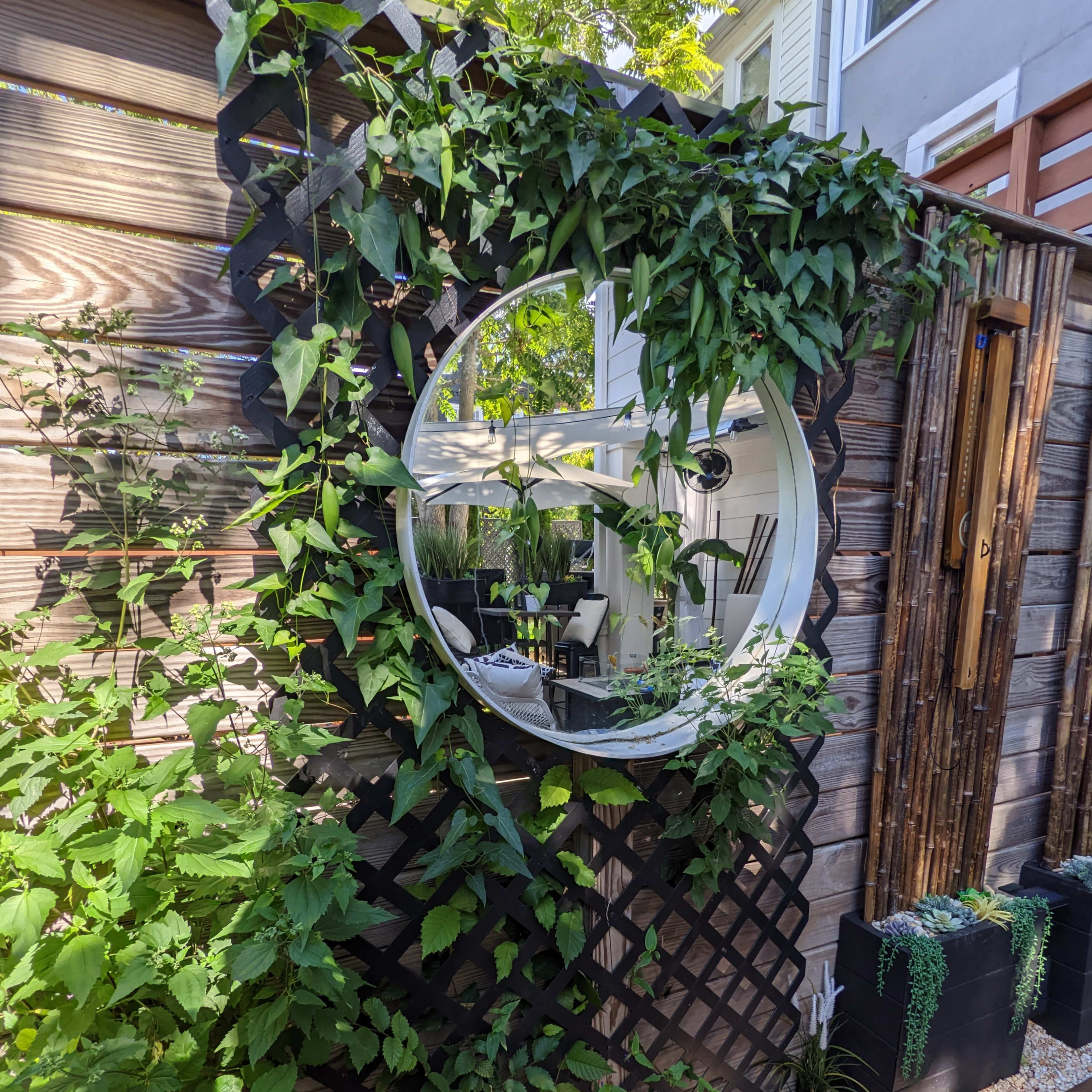 A circular mirror framed by lush green plants is mounted on a wooden lattice wall beside a bamboo screen and planters.