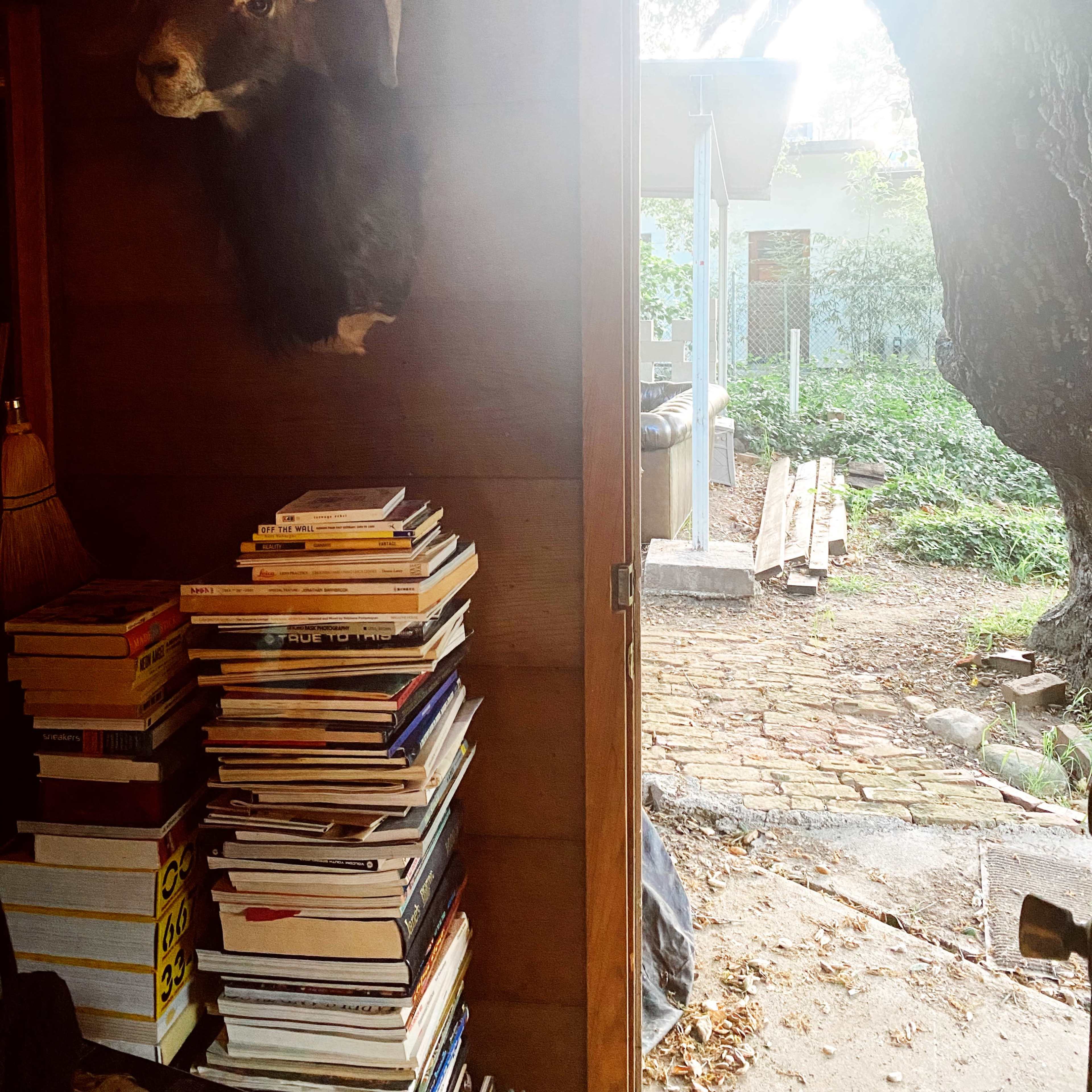A taxidermy mount of a ram is displayed on the wall beside a stack of books, with an open door revealing a stone pathway leading outside.