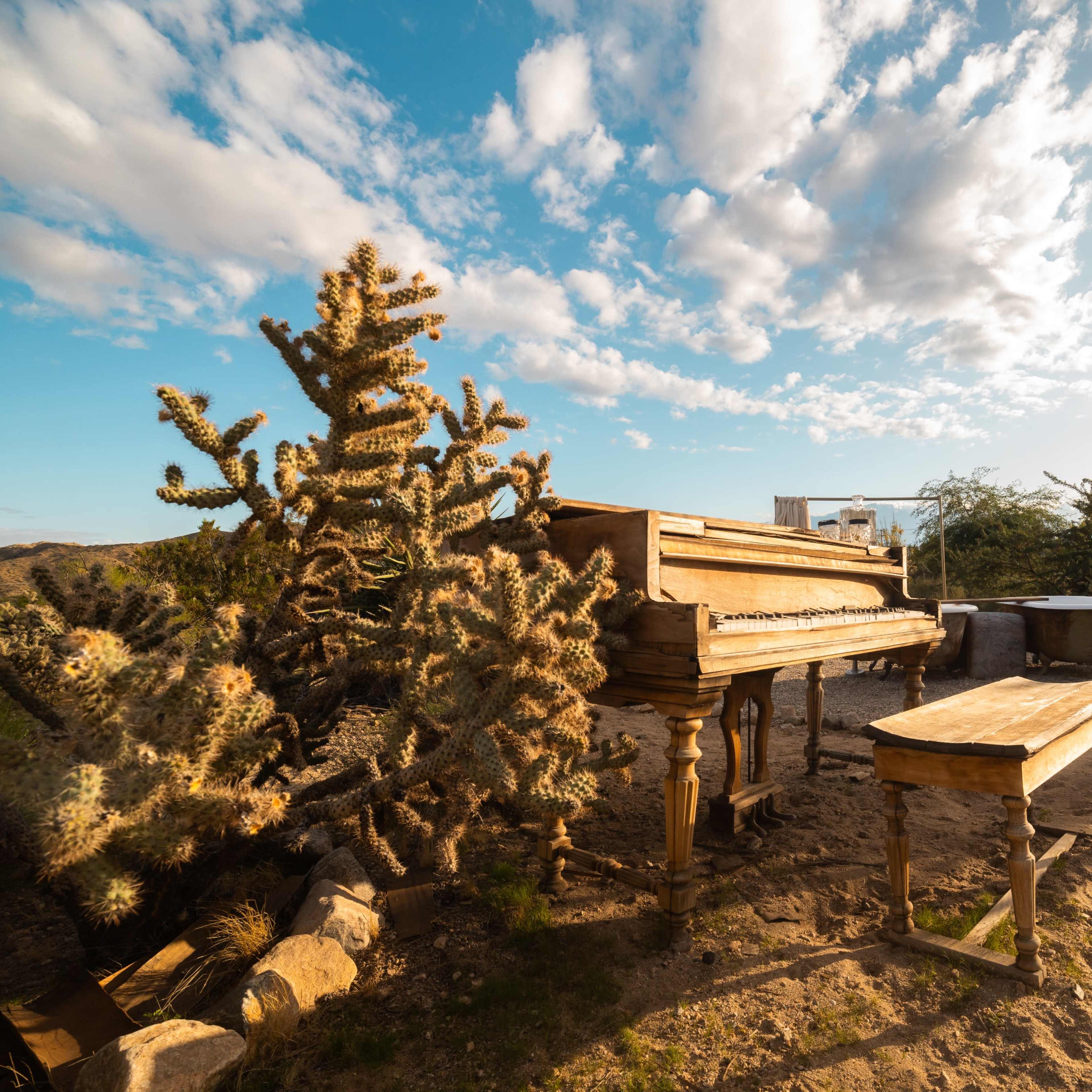 An abandoned piano and bench are surrounded by desert vegetation against a backdrop of a cloudy sky.