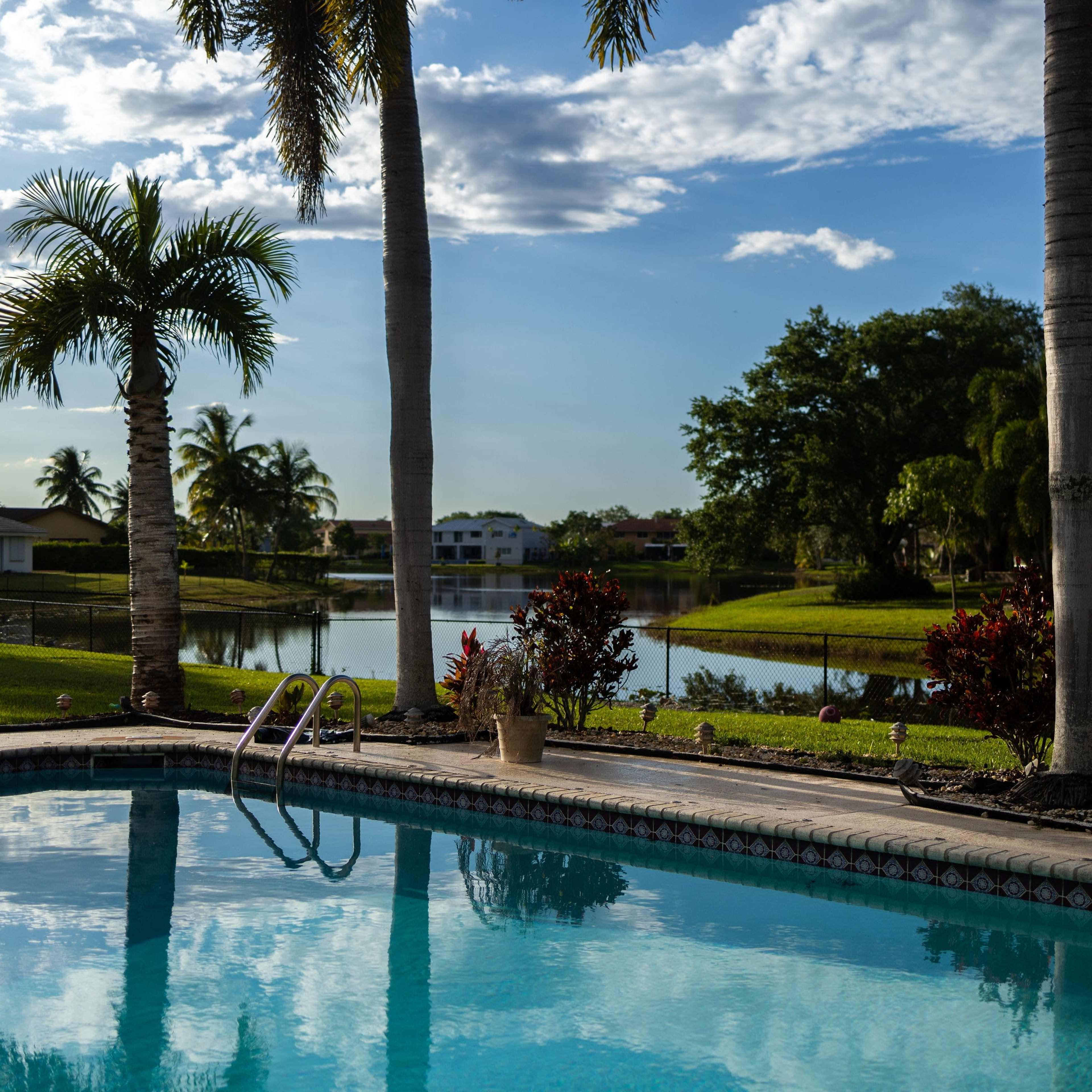 A clear swimming pool is surrounded by palm trees and overlooks a calm lake with houses in the background.