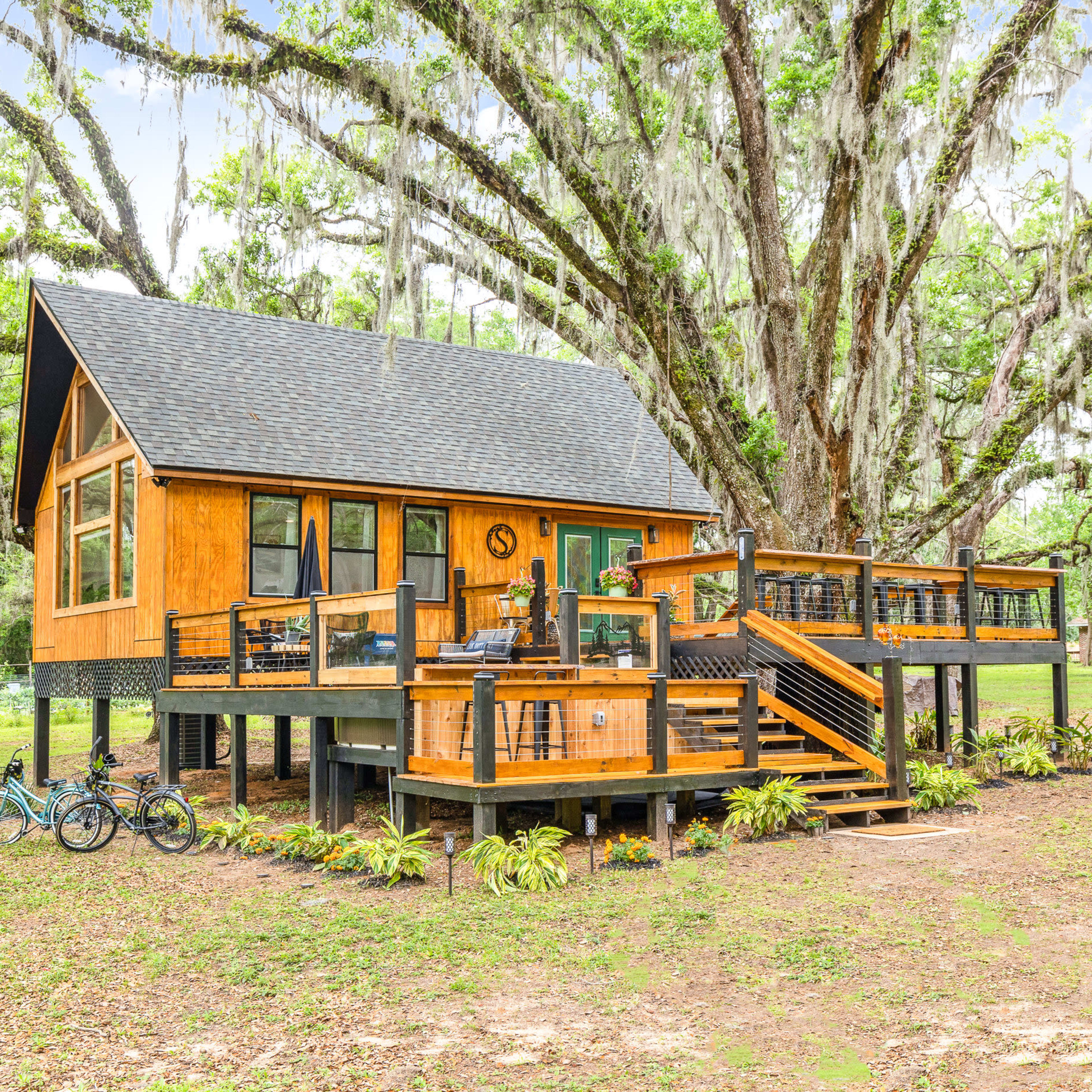 A wooden cabin with a sloped roof is elevated on stilts beneath large, moss-draped trees, featuring a wraparound deck and two bicycles parked nearby.