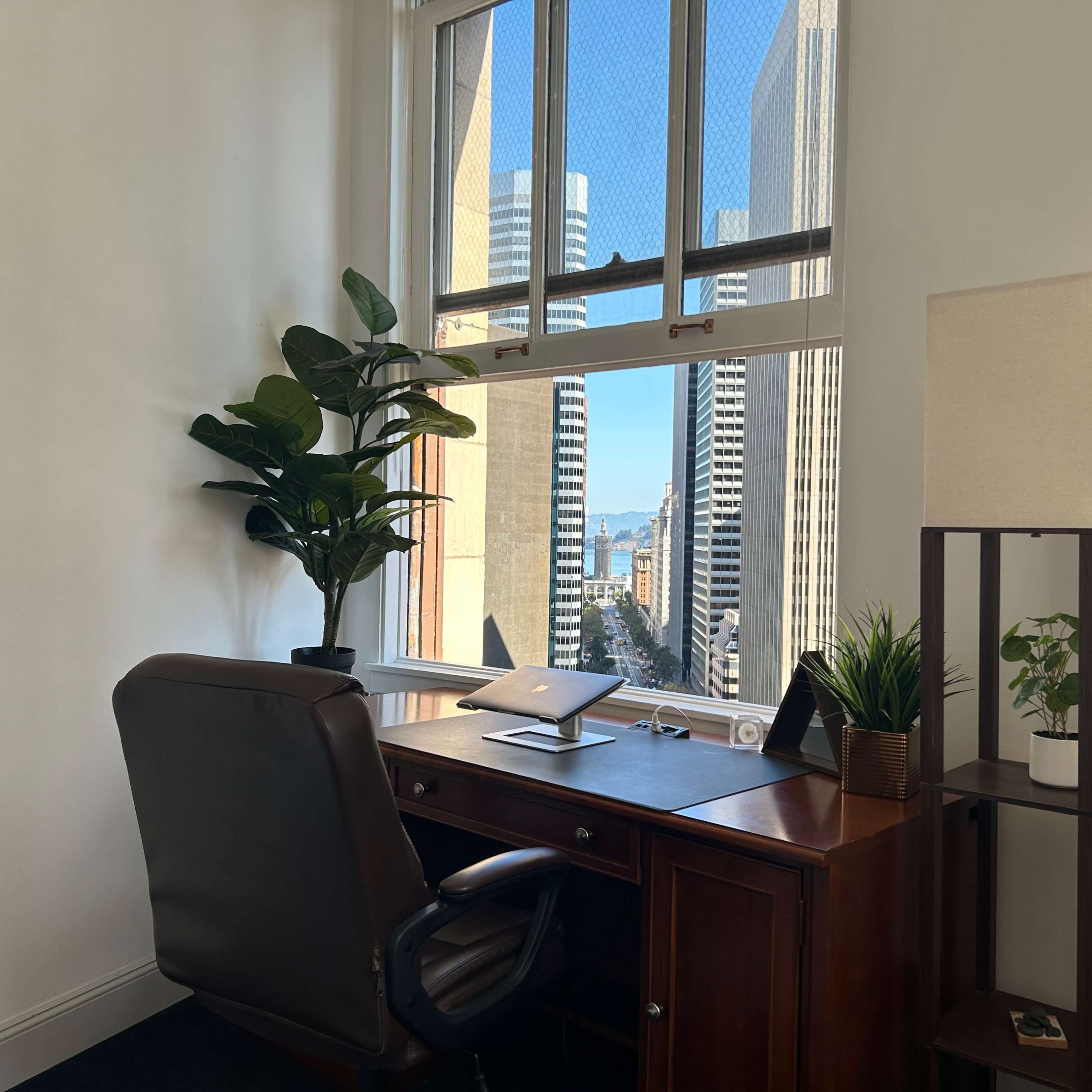 A modern office space with a wooden desk, a chair, and plants positioned near a large window overlooking a cityscape with tall buildings and a body of water in the background.