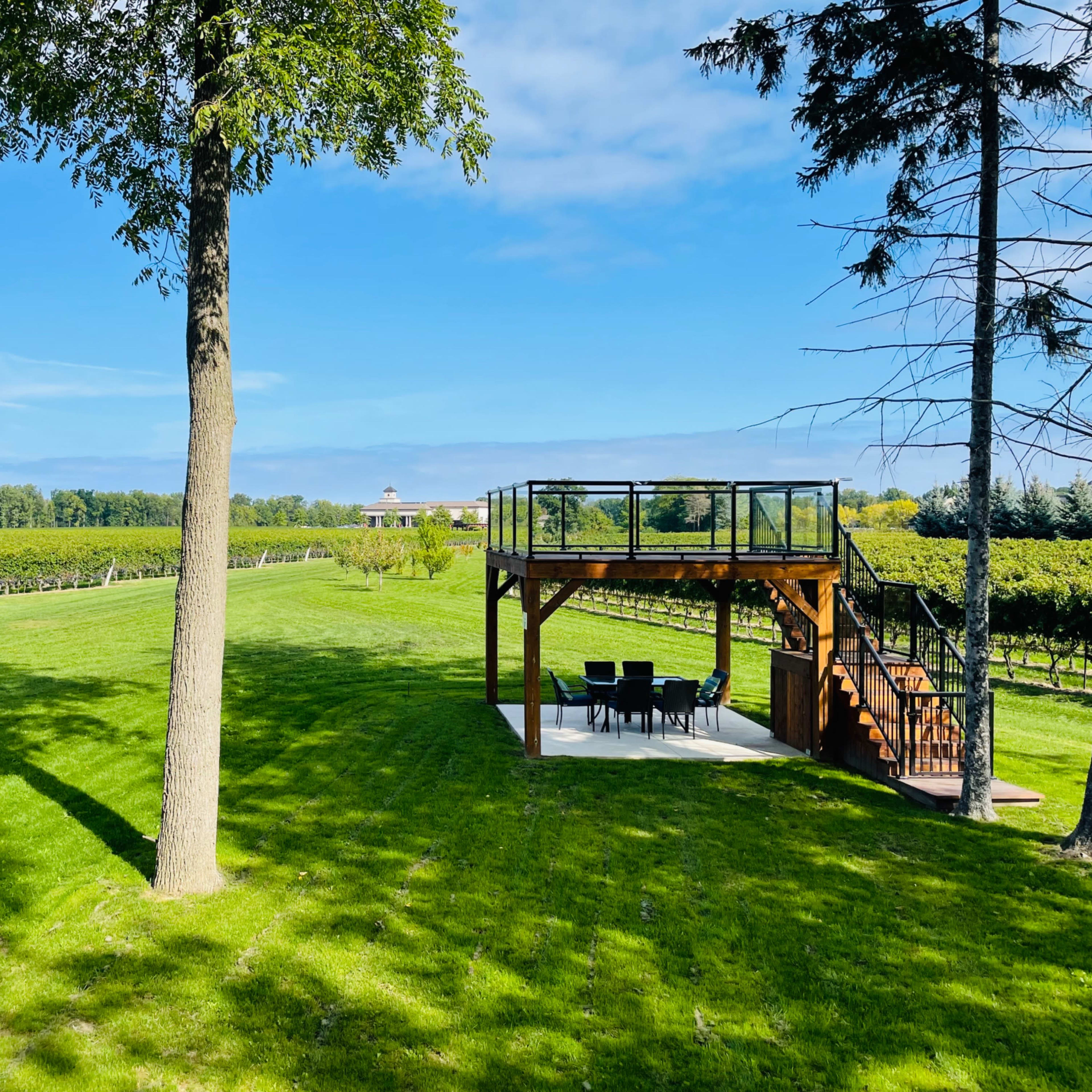 A grassy area with a wooden deck overlooking a vineyard under a clear blue sky.