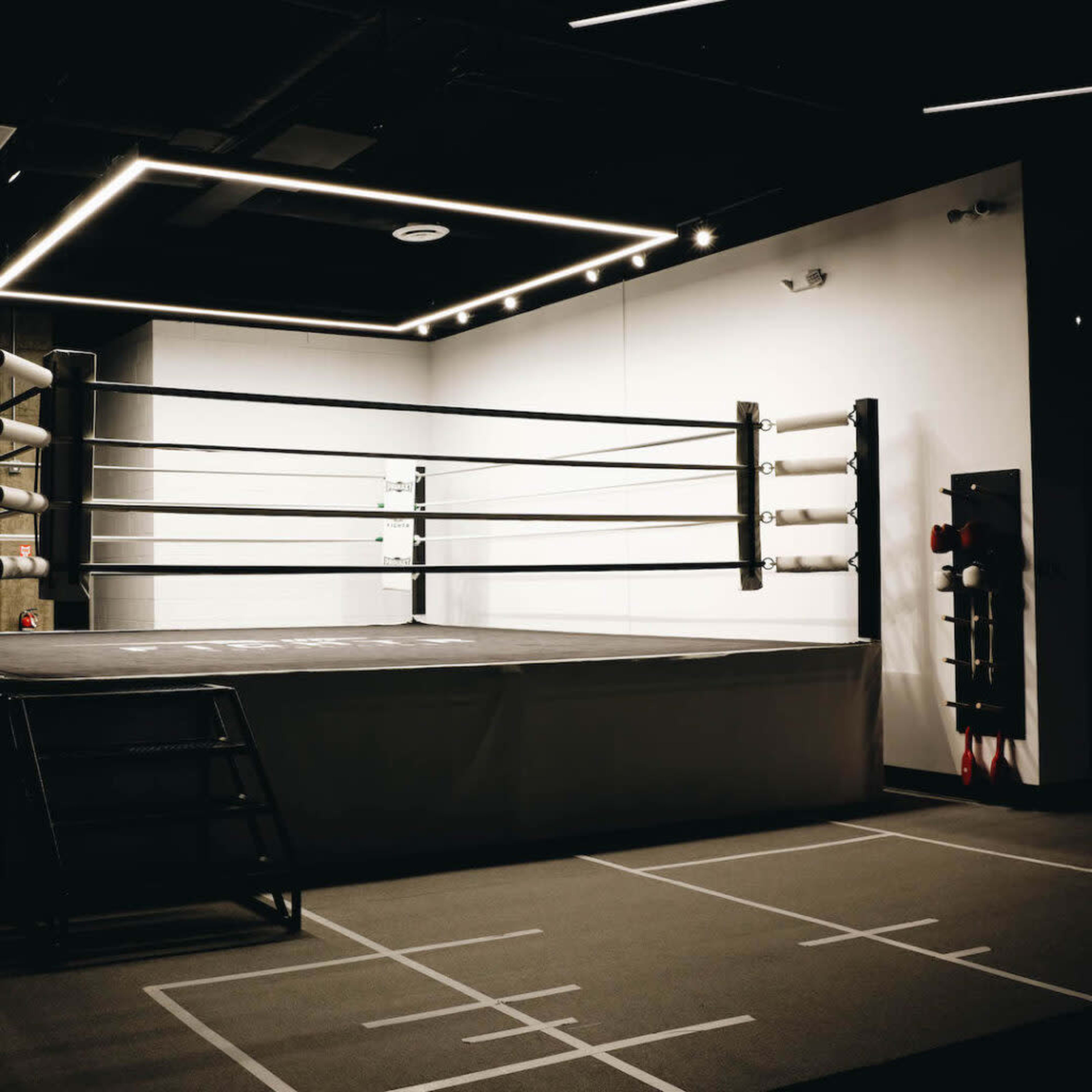 A boxing ring set in a dimly lit gym, featuring a rectangular mat and ropes, with workout equipment nearby.