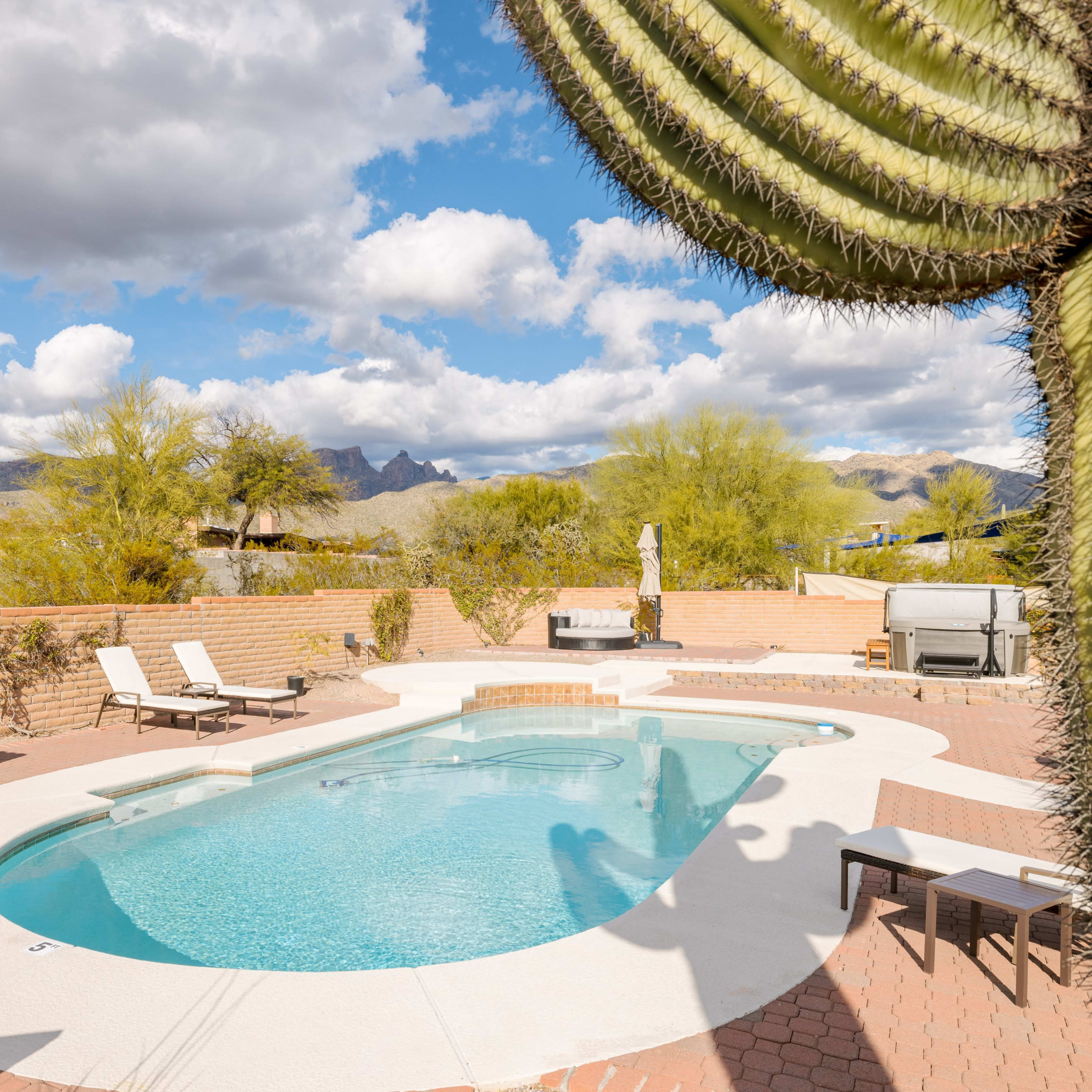 A swimming pool is surrounded by a desert landscape with a large cactus in the foreground and mountains in the background.