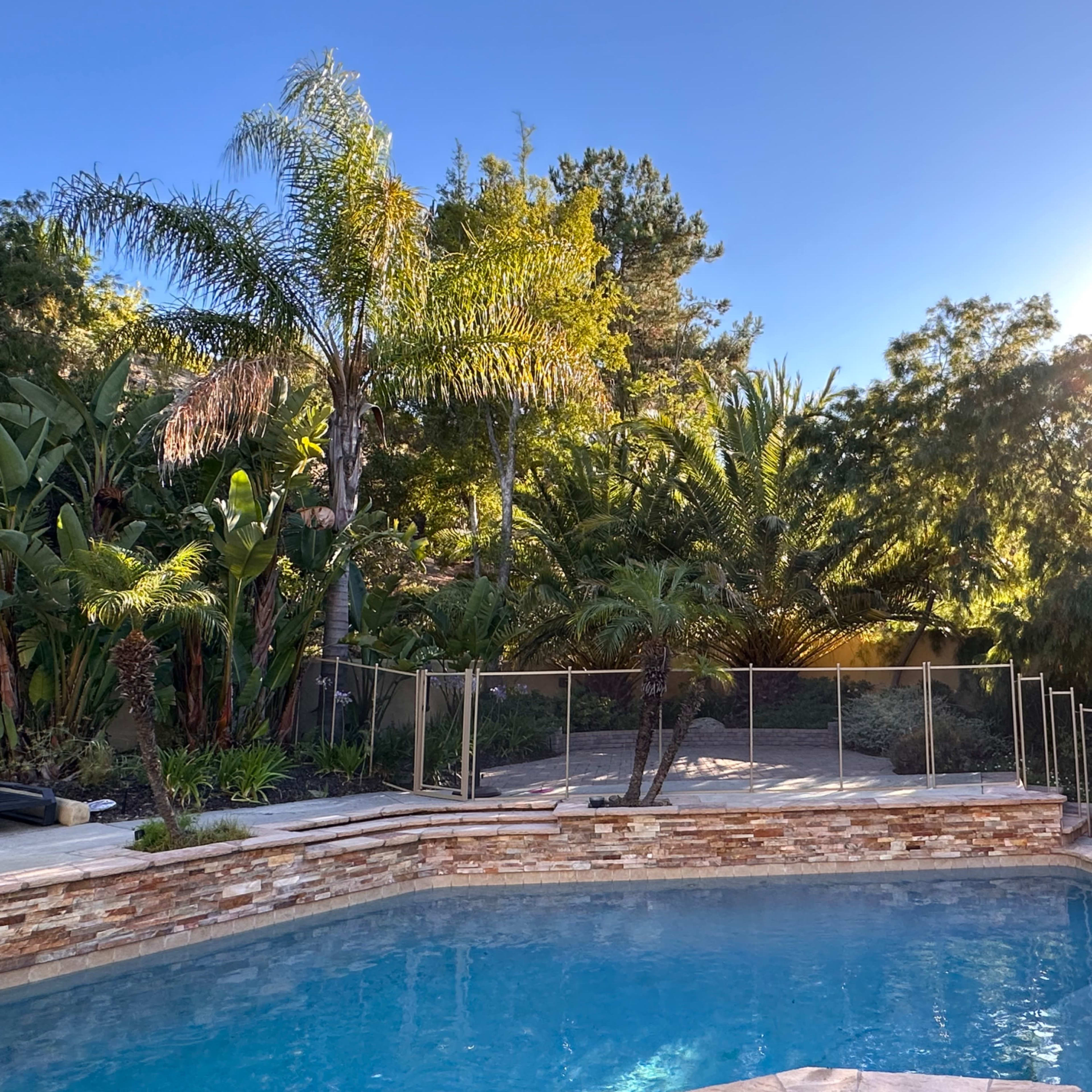 A swimming pool surrounded by palm trees and tropical plants, with a fence and sunlight shining through the foliage.
