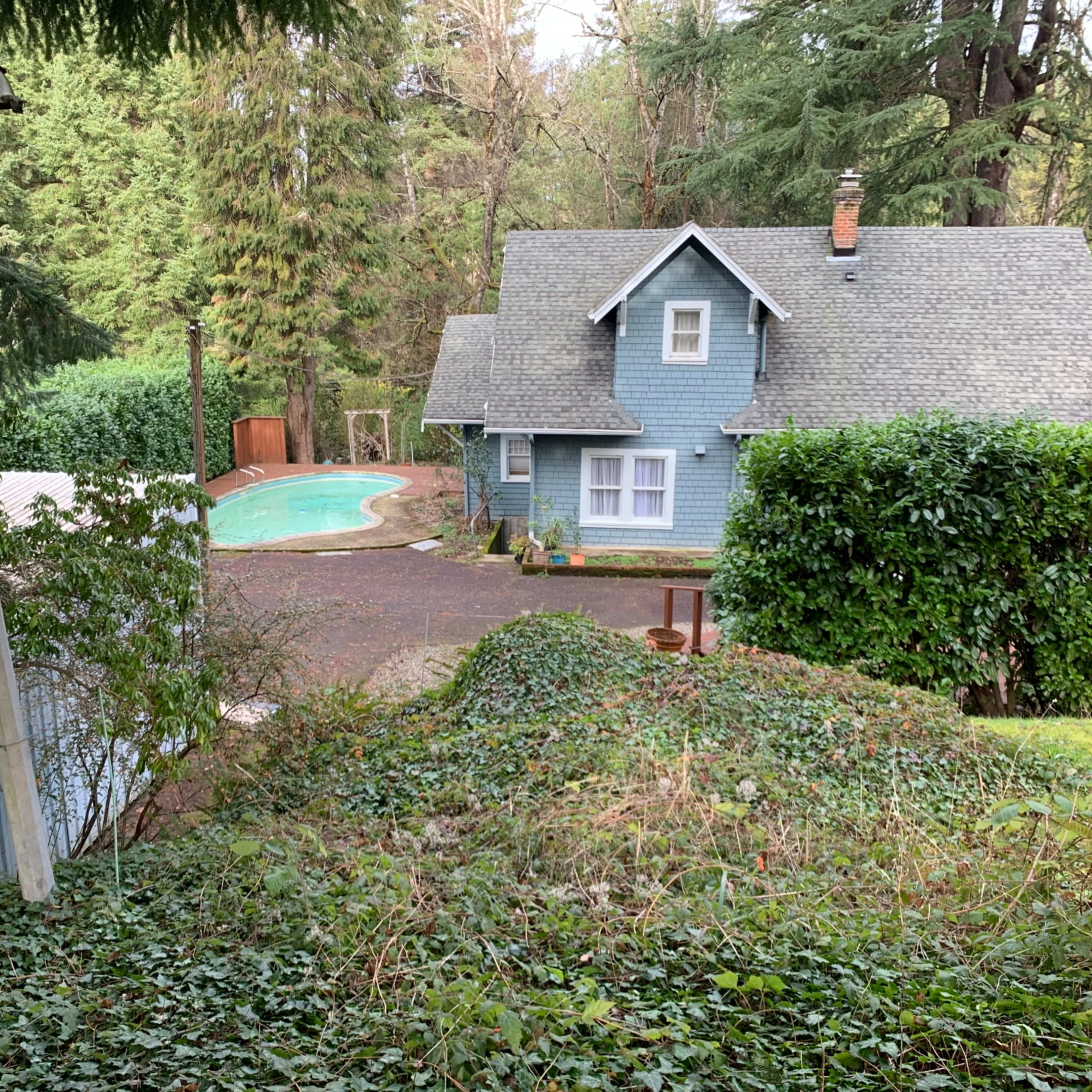 A blue two-story house is situated near a swimming pool, surrounded by tall trees and dense greenery.