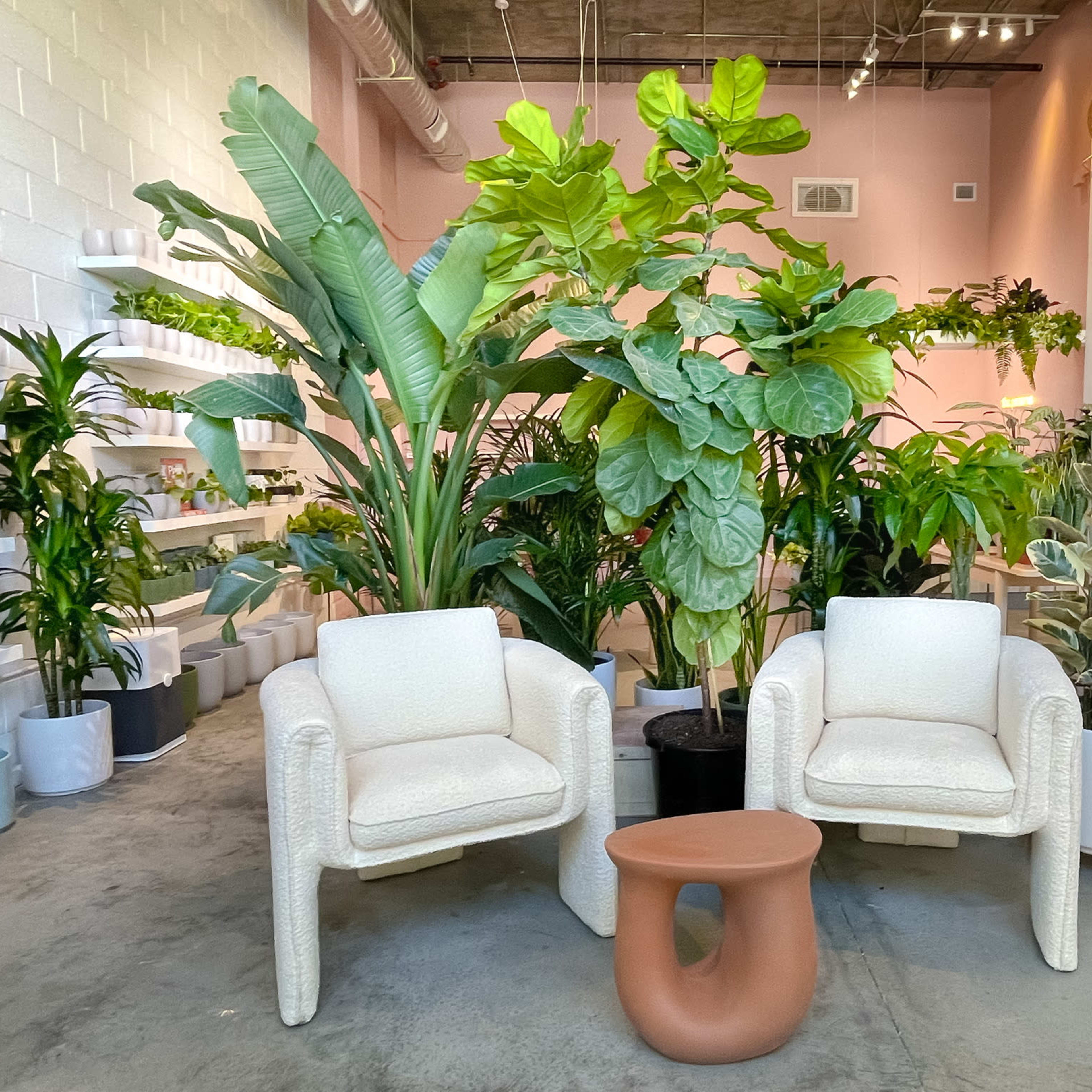 Two textured white chairs are positioned next to a round clay table amid various indoor plants in a well-lit, modern space.