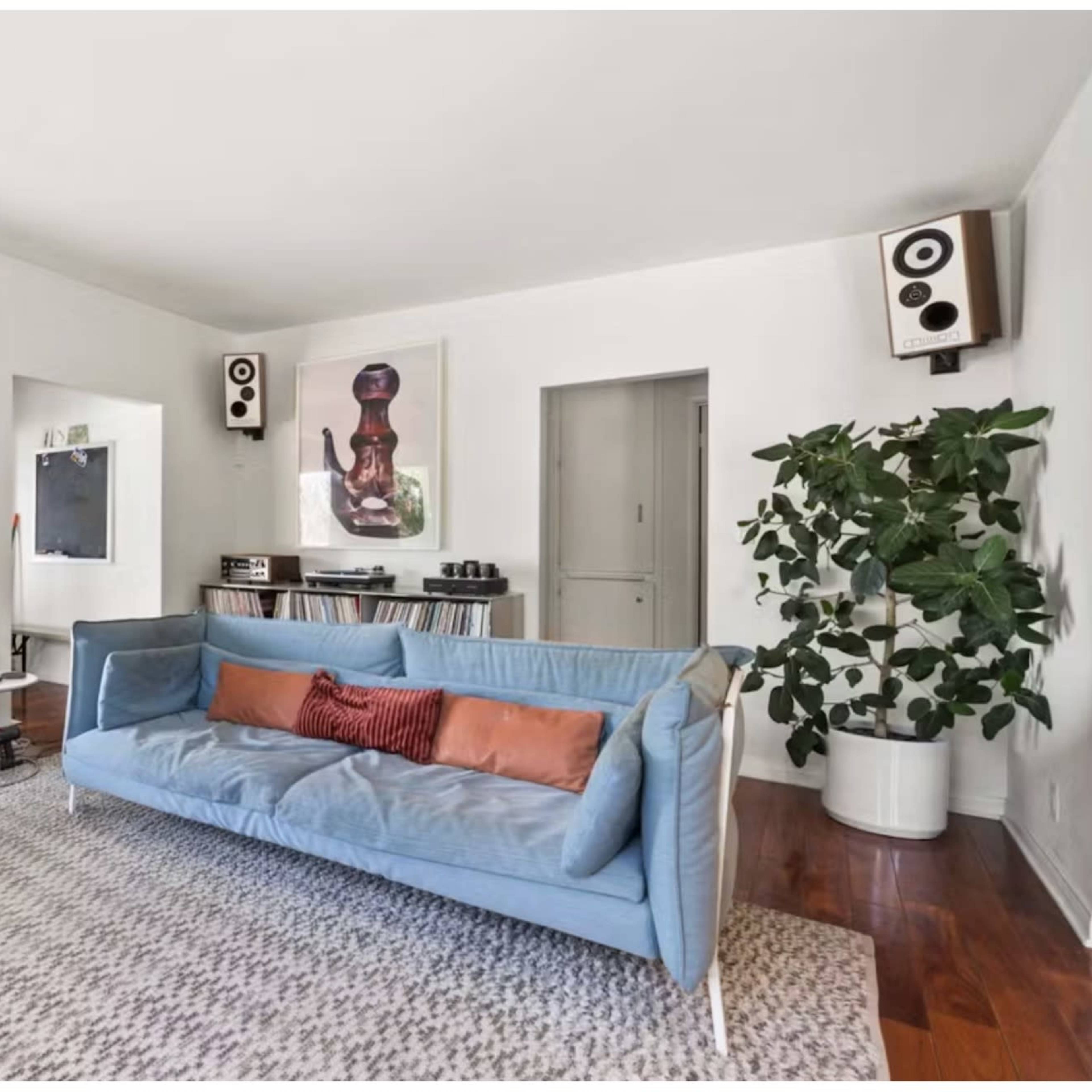 A modern living room featuring a blue sofa, two black chairs, a large area rug, and a plant, with natural light streaming in from adjacent outdoor space.