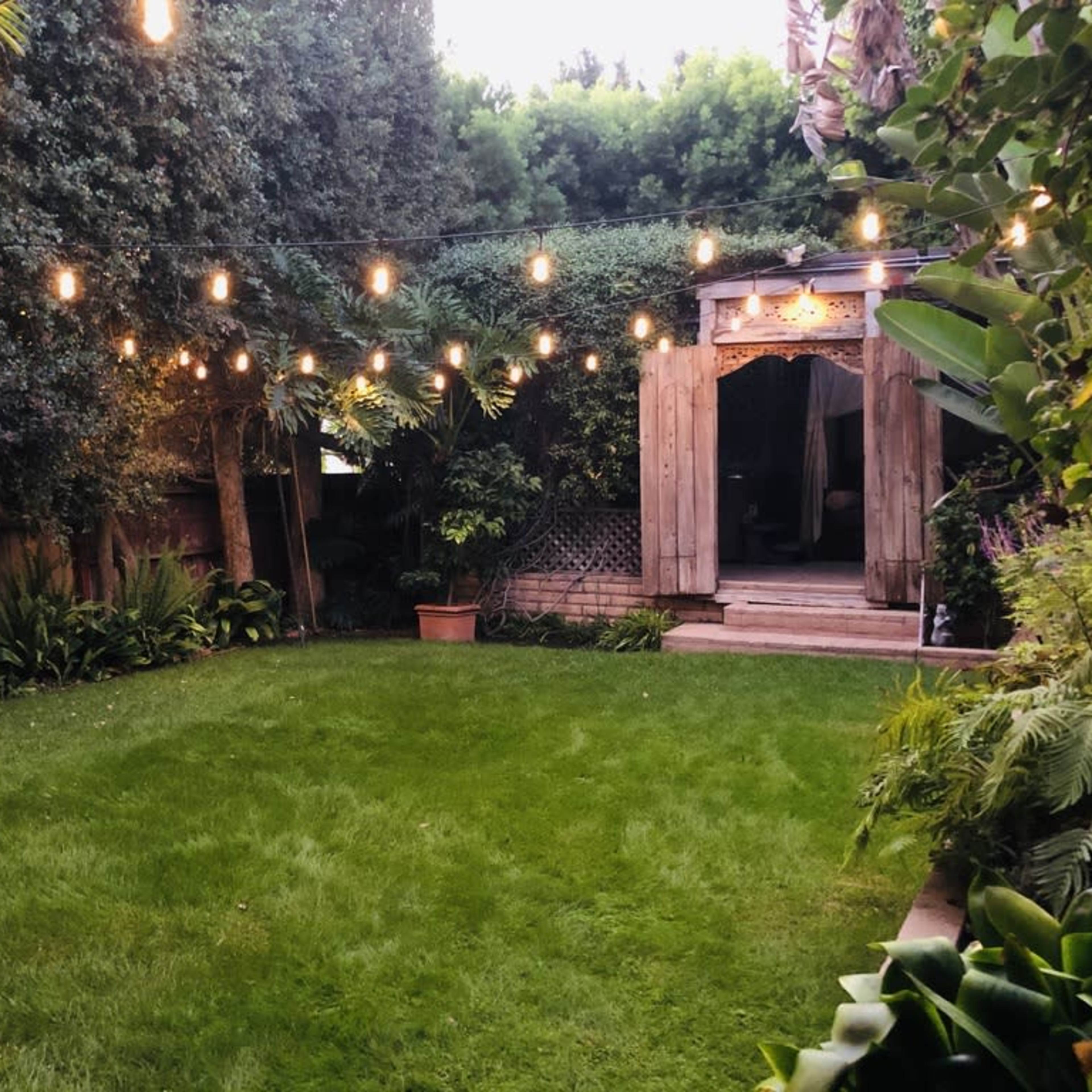 A well-maintained backyard with a grassy area, surrounded by lush greenery and strung lights above, leading to a wooden structure.